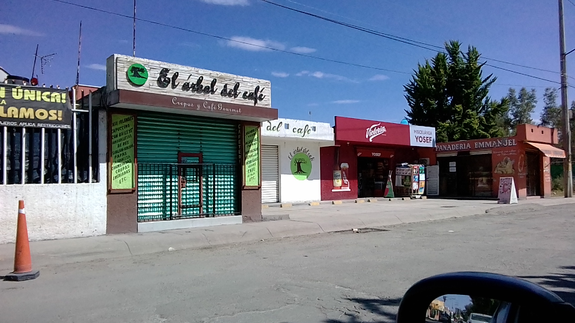 The coffee tree image 1