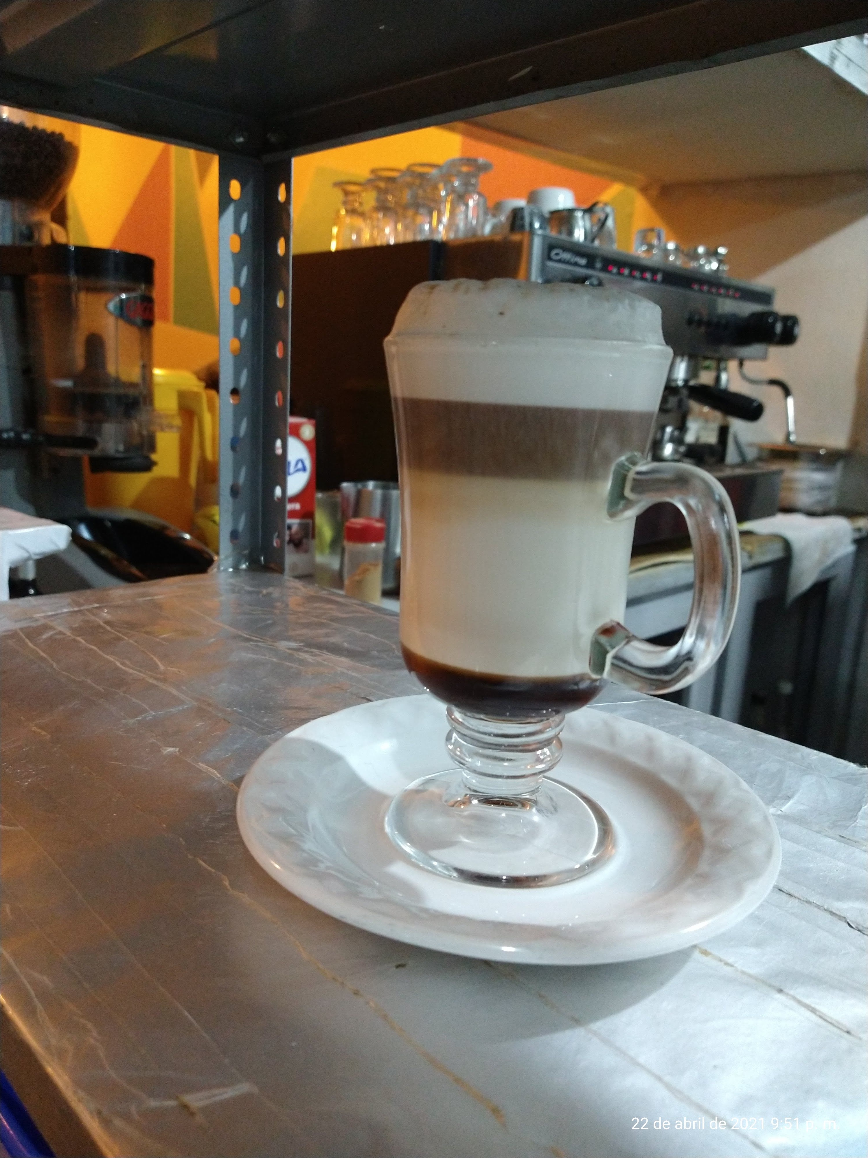 The coffee tree image 4