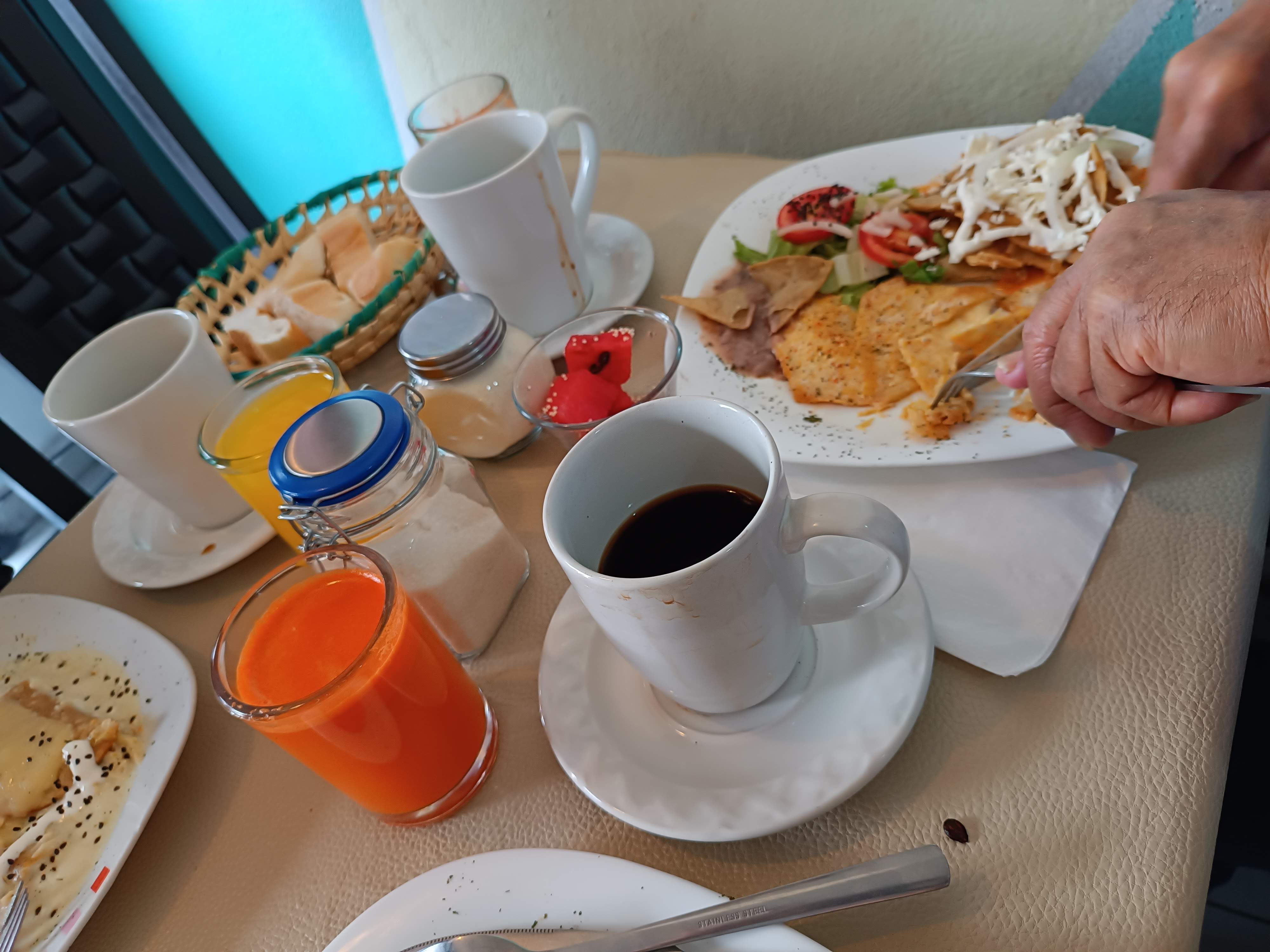 The coffee tree image 6