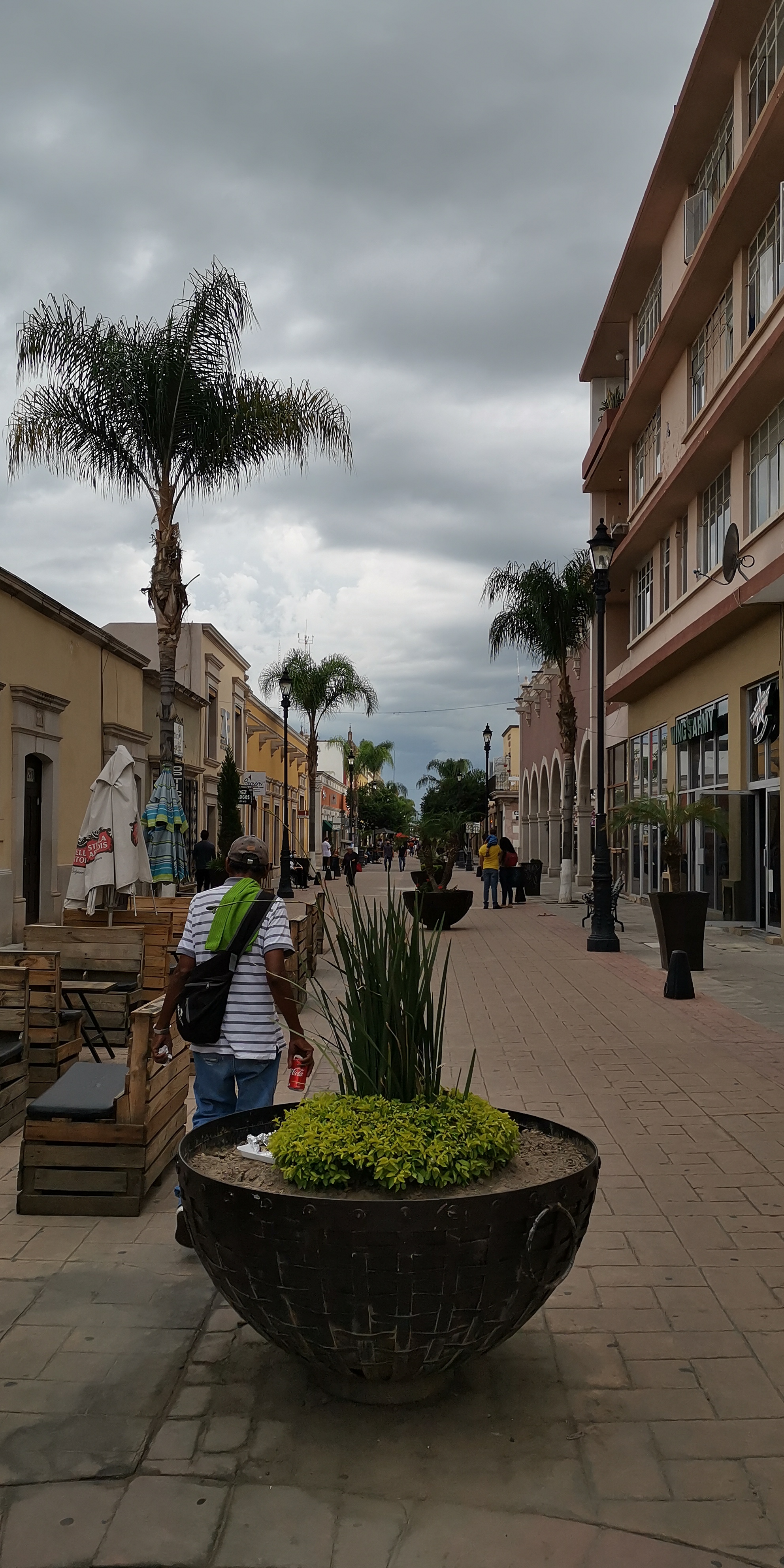 Wing's Army image 10