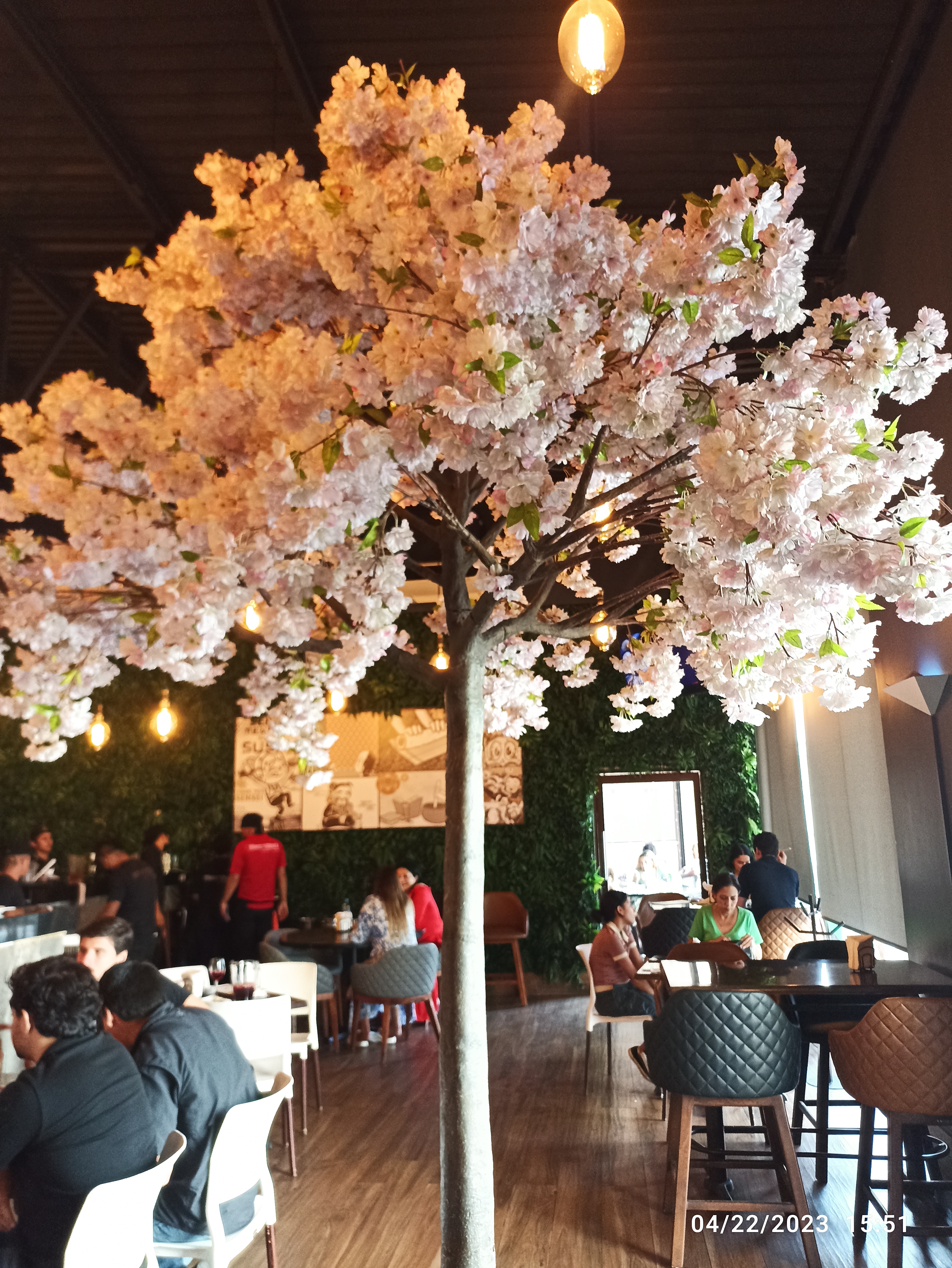 Sensei Sushi Bar image 4