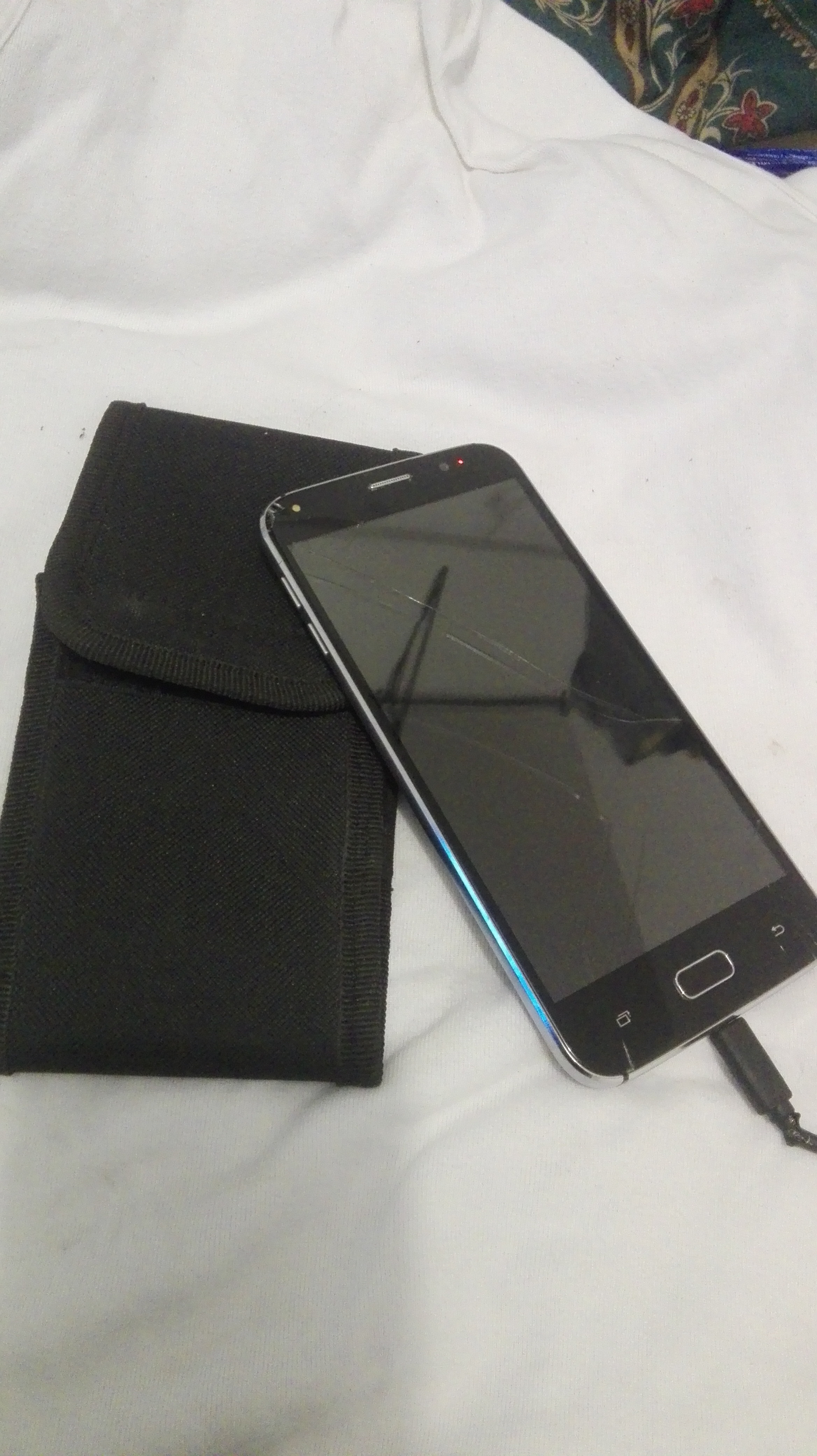 tacos san juan silao image 7