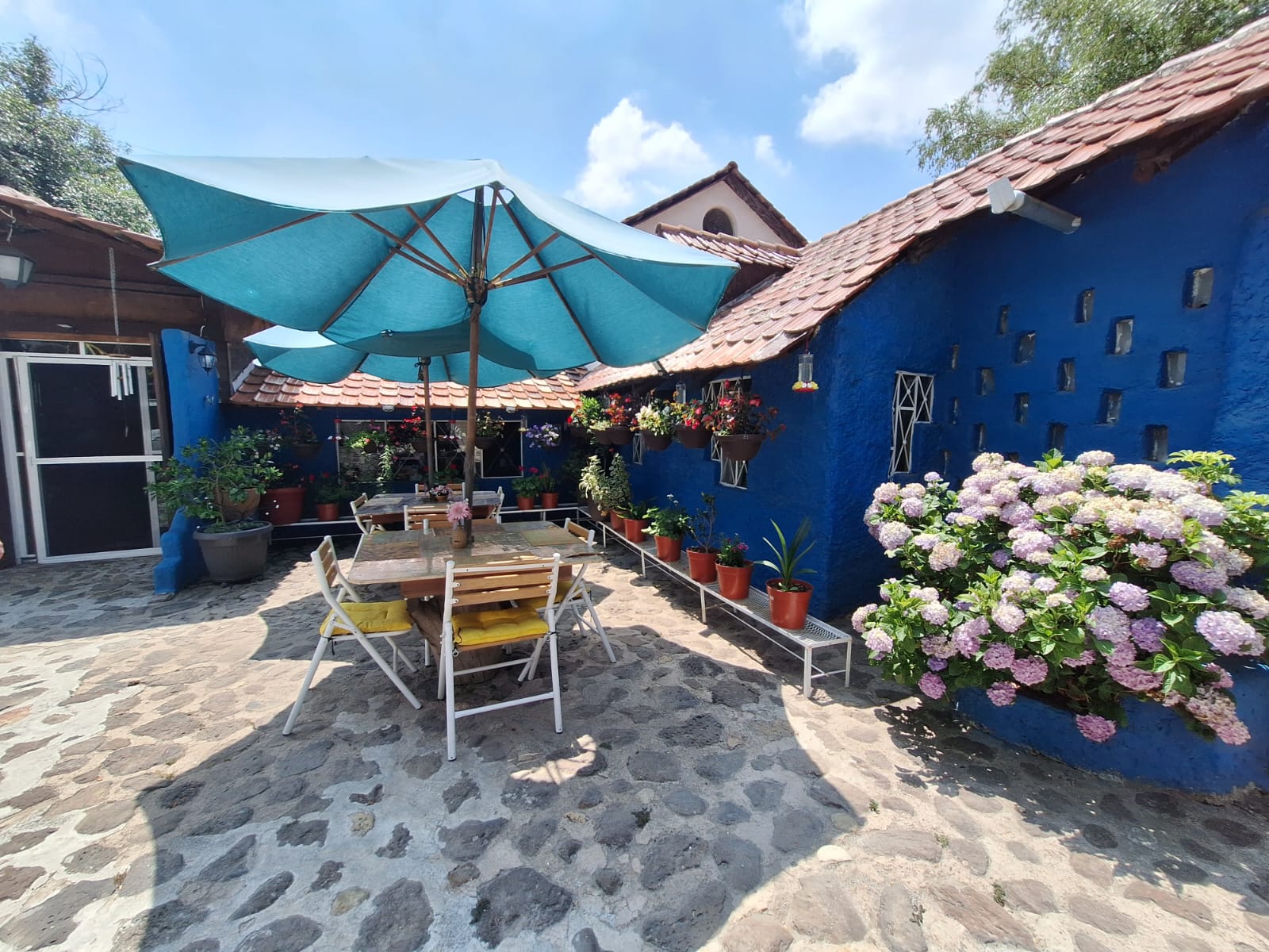 Casa Colibrí image 8