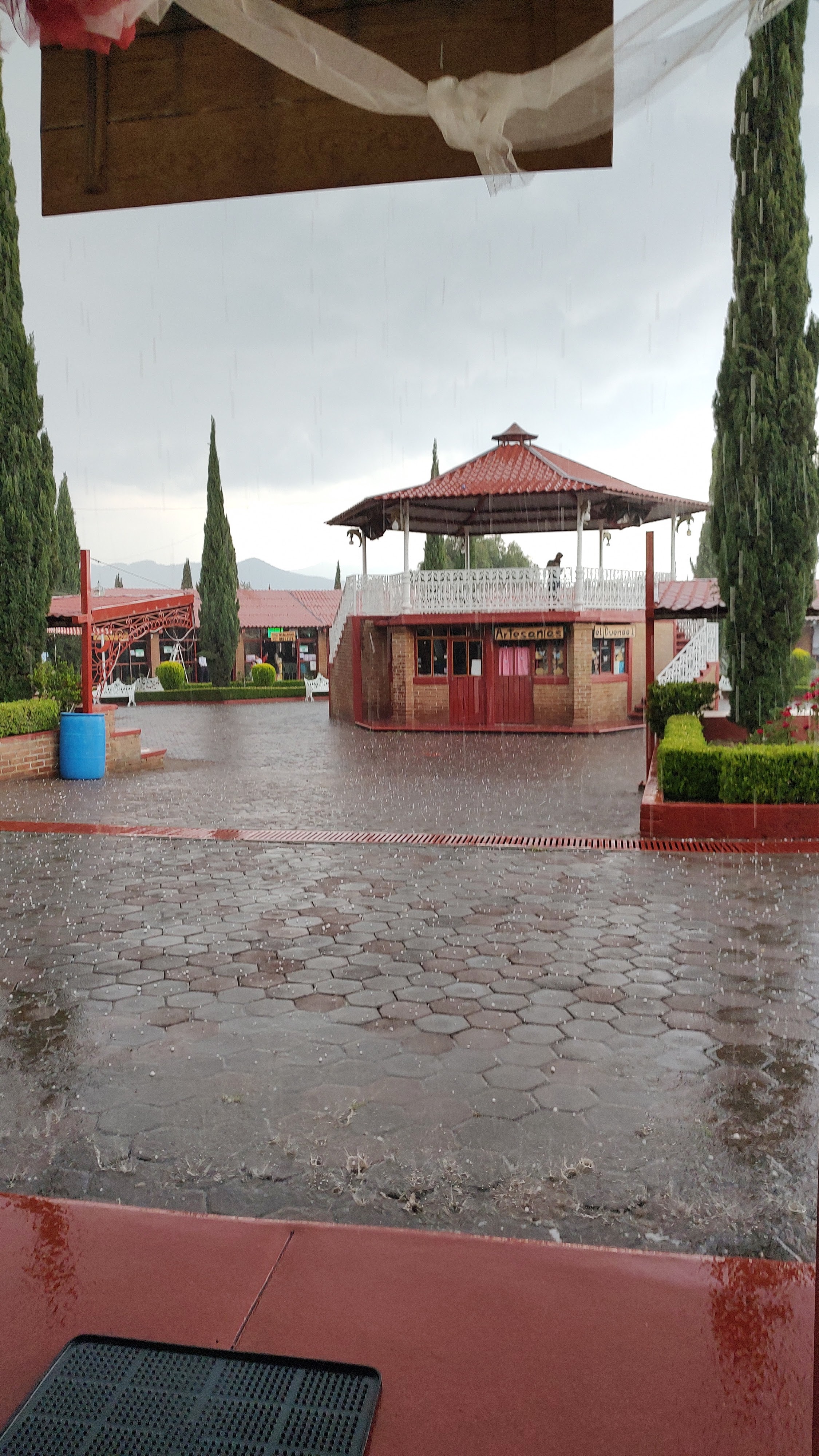 Restaurante Las Palmas image 6