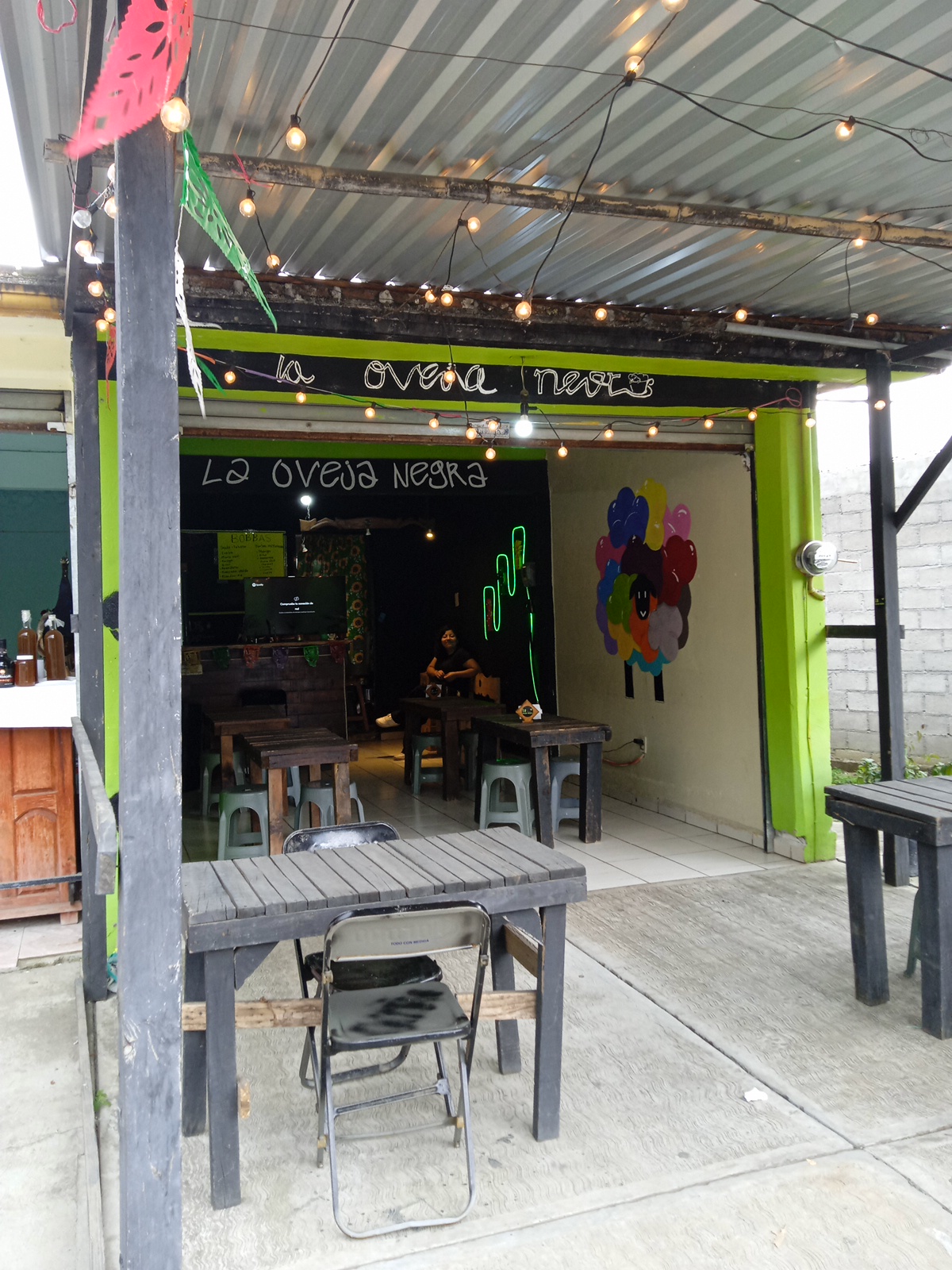 La oveja negra image 1