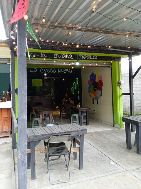 La oveja negra image 1