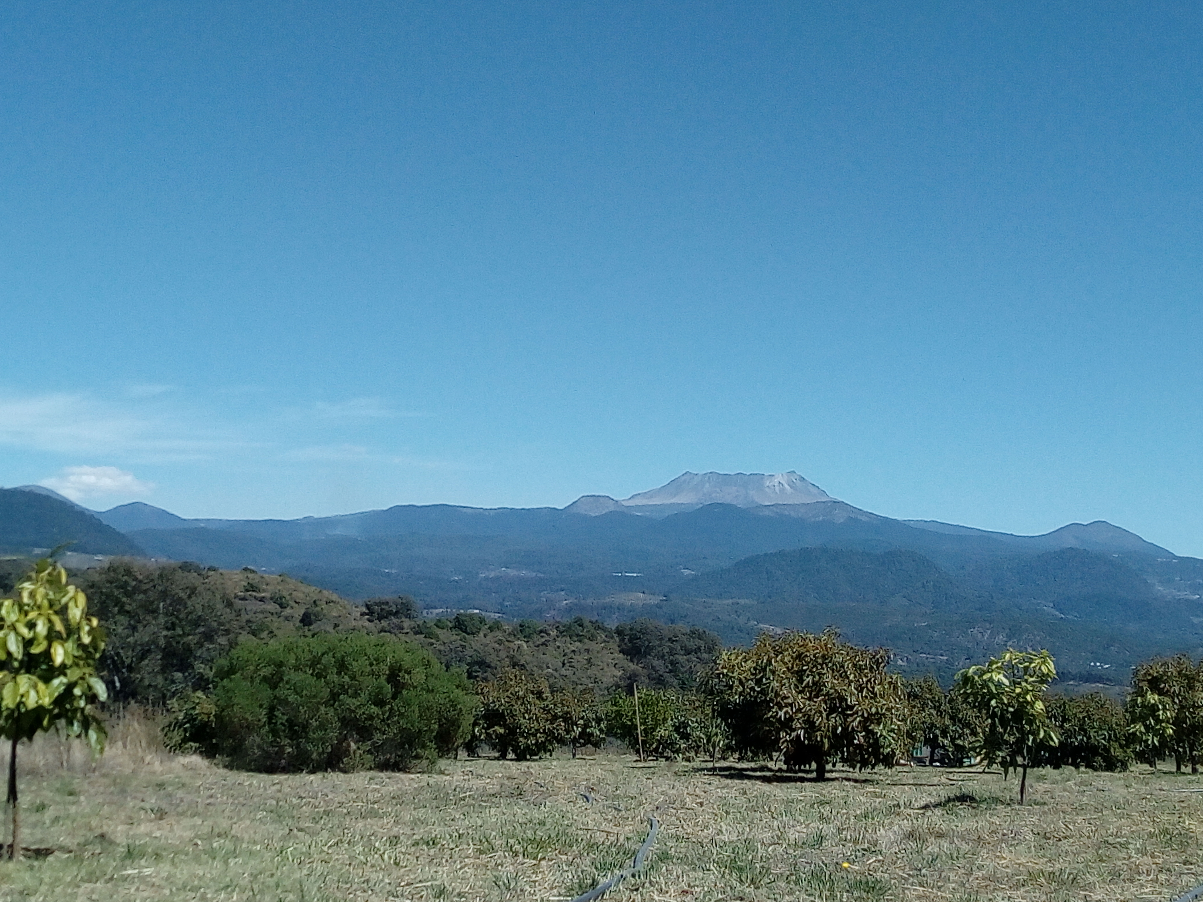 La oveja negra image 10