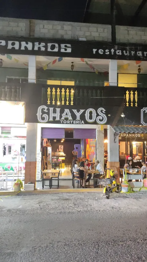 CHAYOS image 7