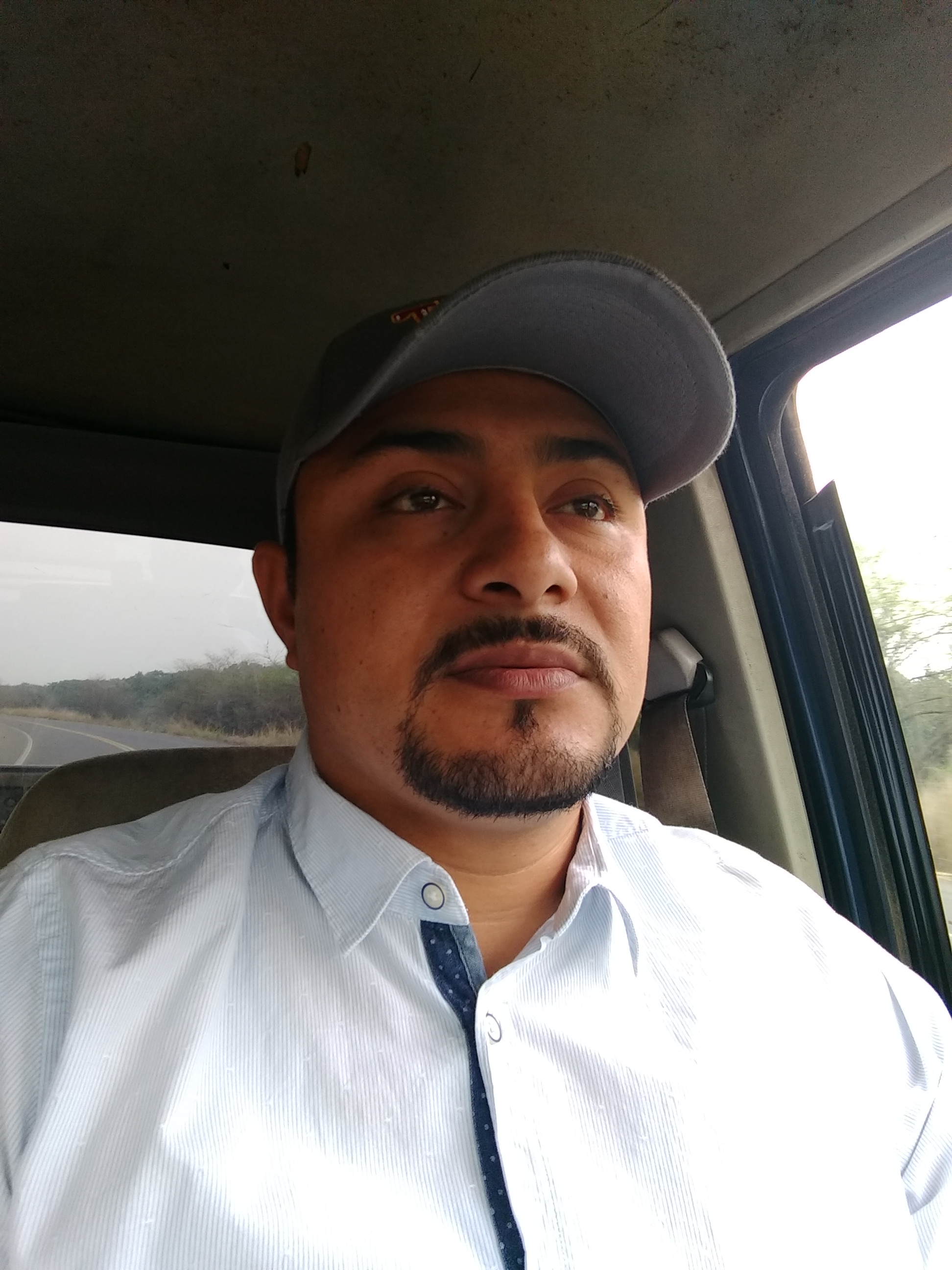 Hotdogs Tomy image 9