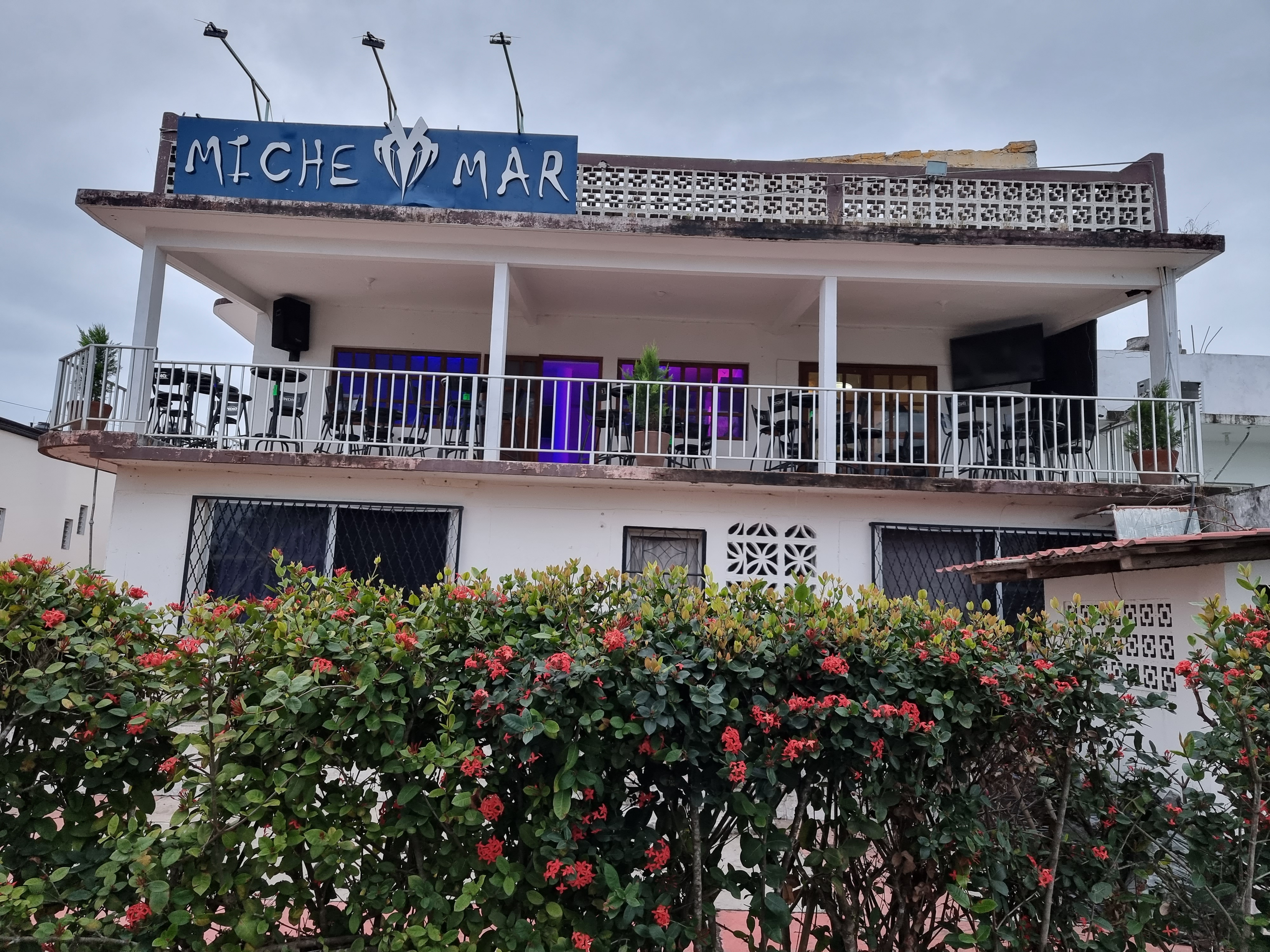 Miche-Mar Gutierrez Zamora image 4