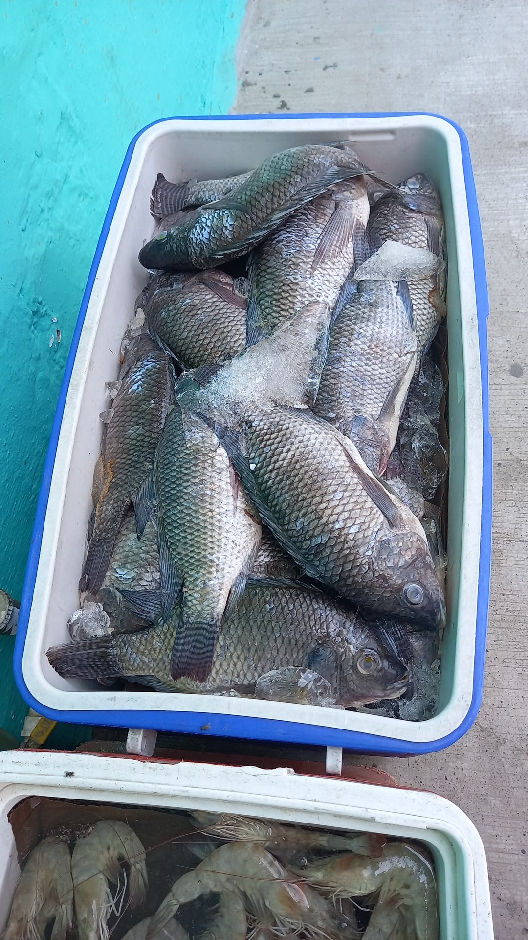 Cocina Economica Katy image 6