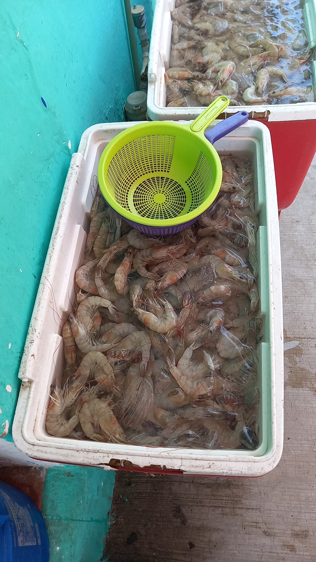 Cocina Economica Katy image 8