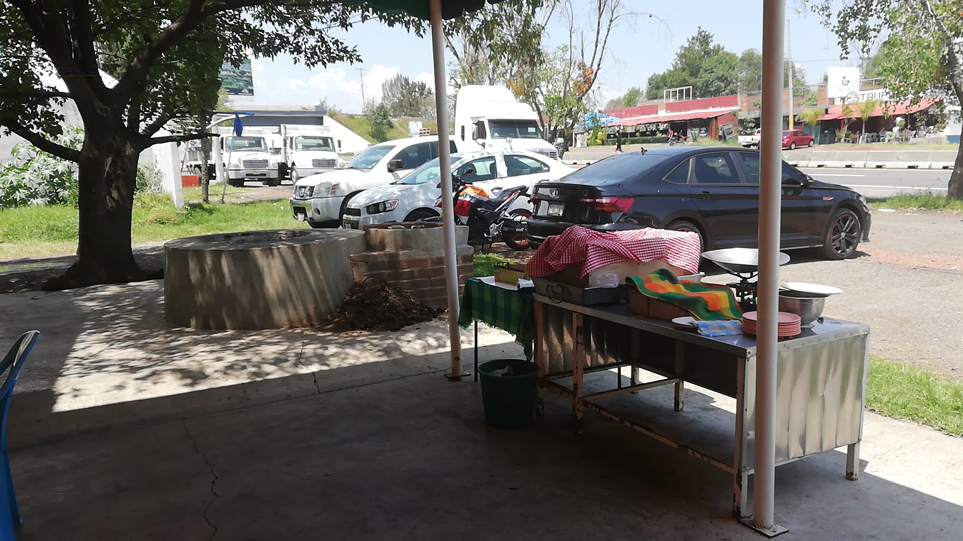 El Borrego Veloz image 1