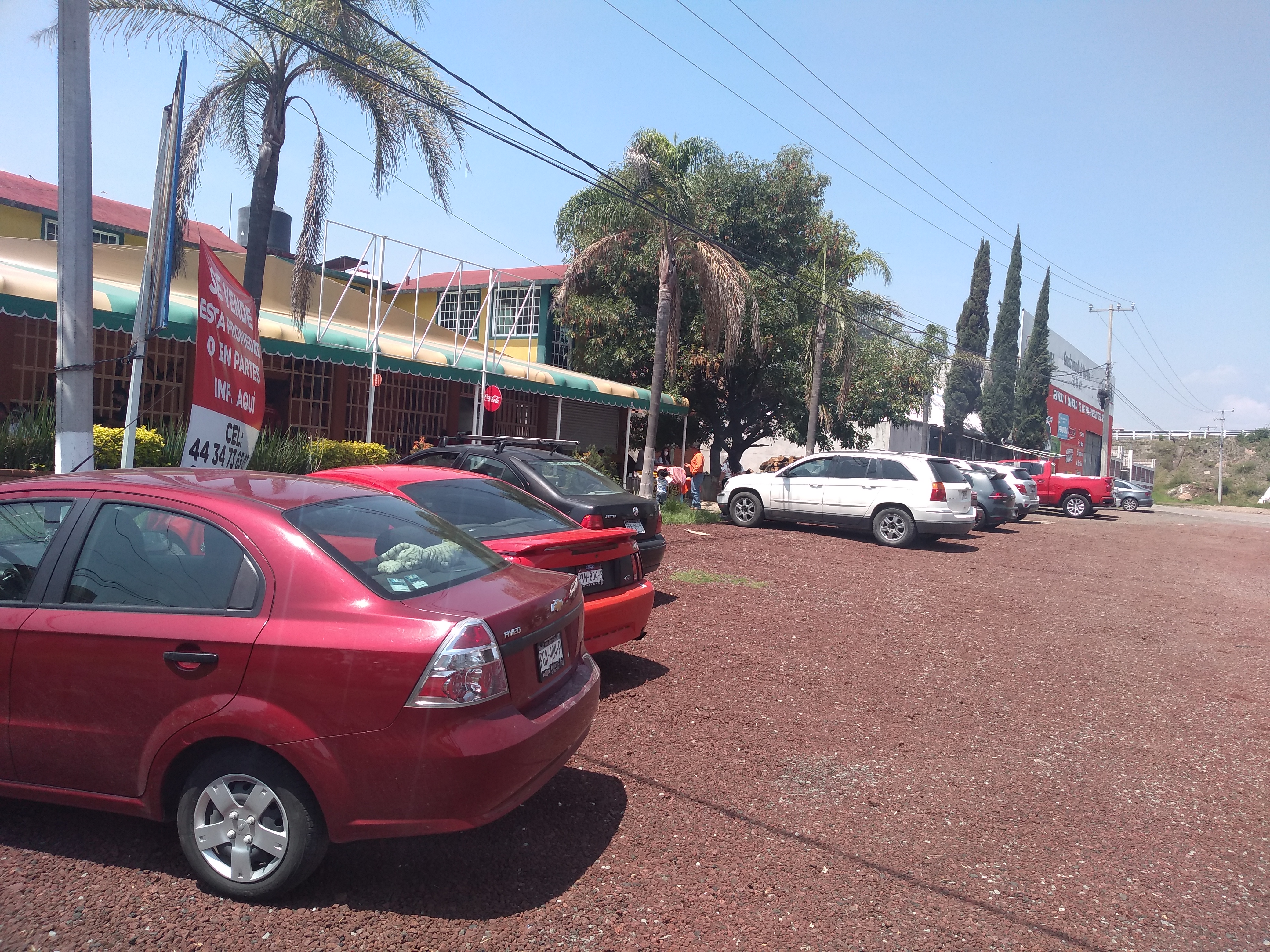 El Borrego Veloz image 5