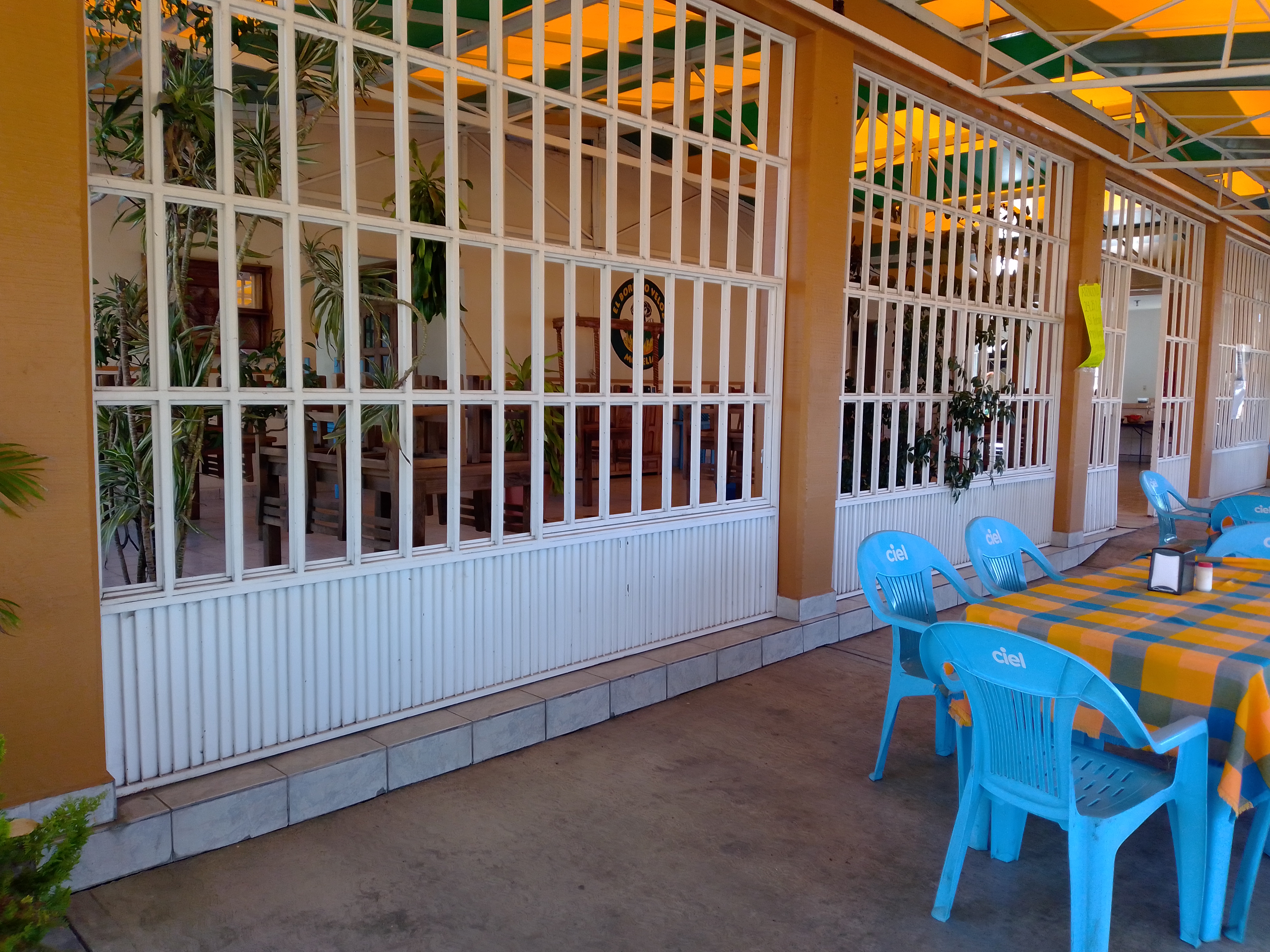 El Borrego Veloz image 9