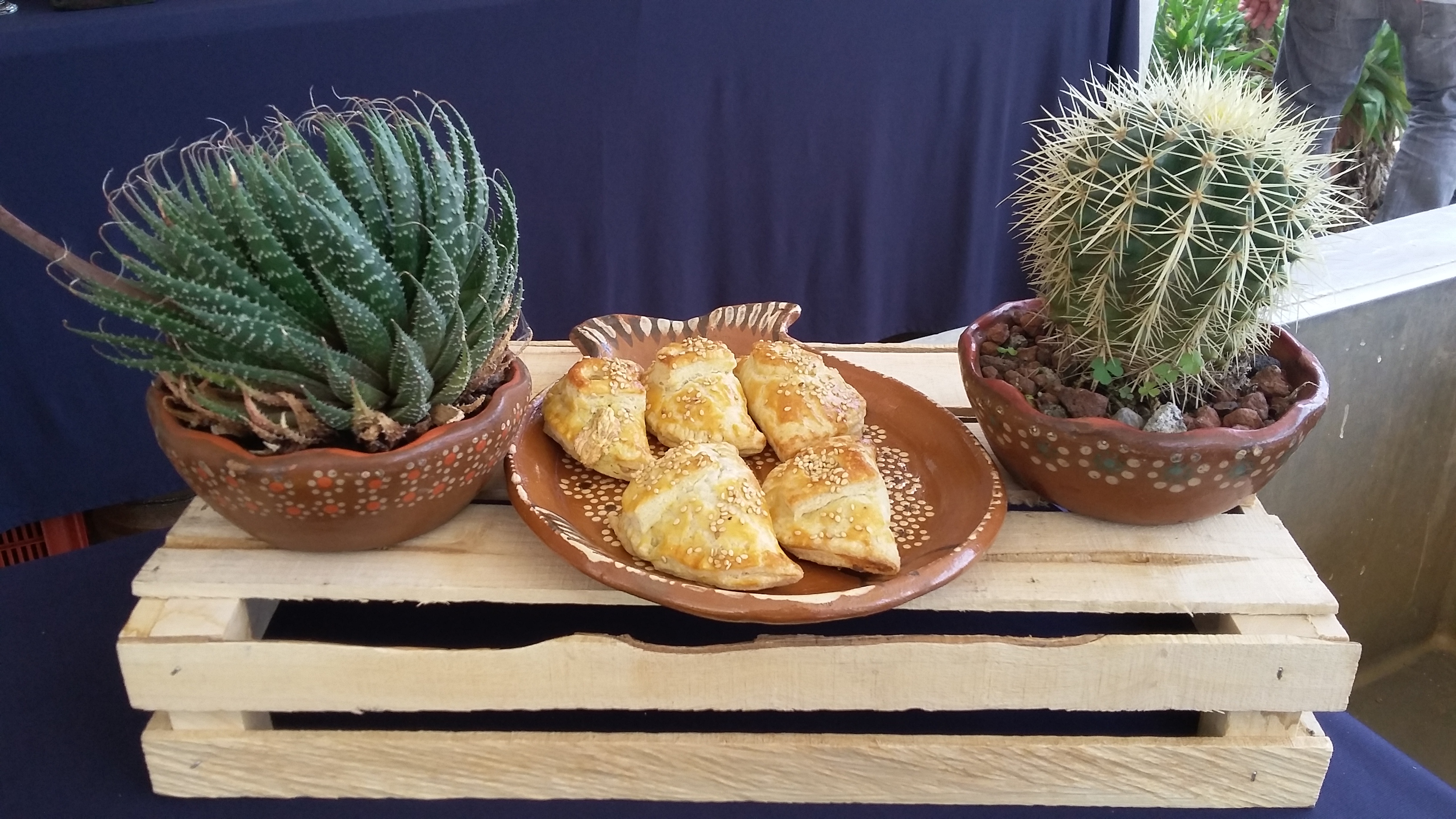 Cafeteria CSAM UNAM Campus Morelia image 2