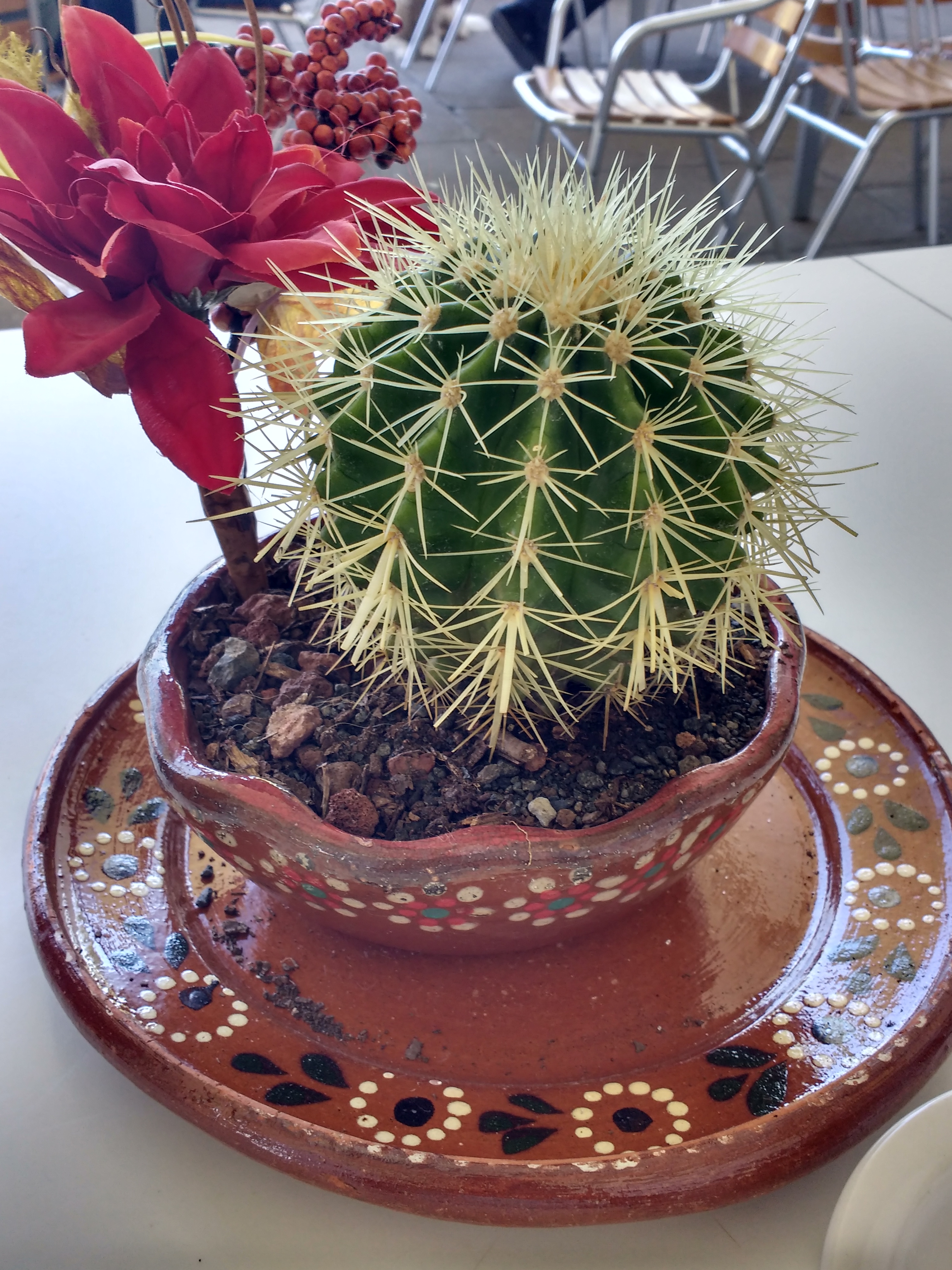 Cafeteria CSAM UNAM Campus Morelia image 9