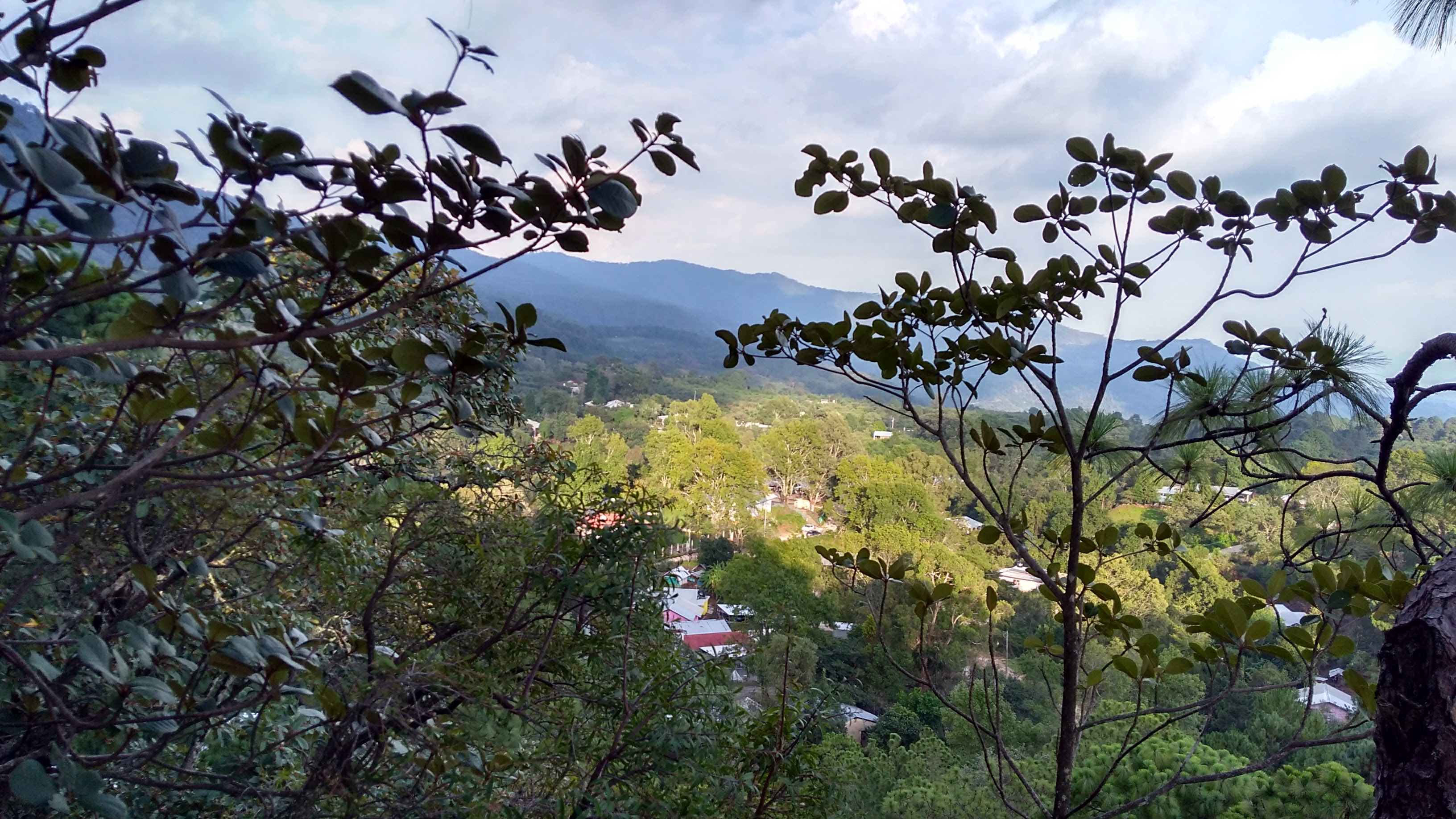 Cenaduría Las Genaras image 2