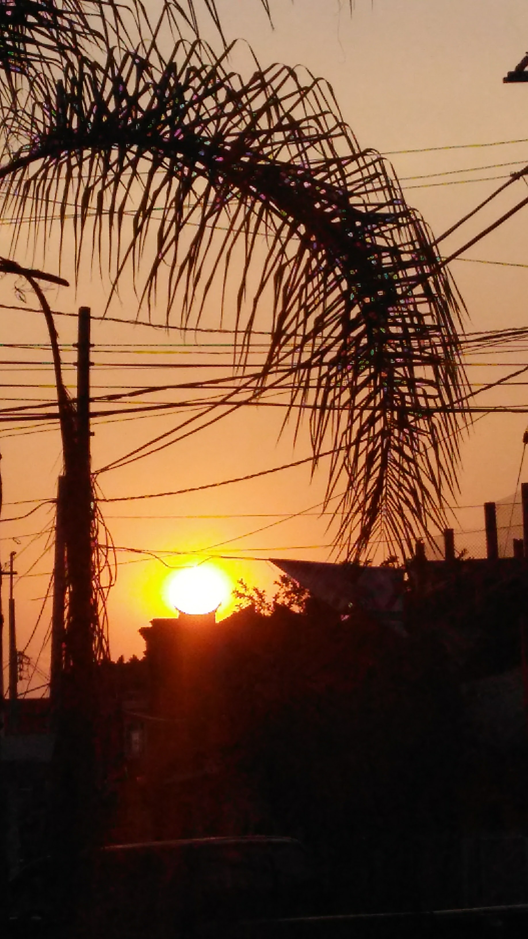 Cenaduría Las Genaras image 6