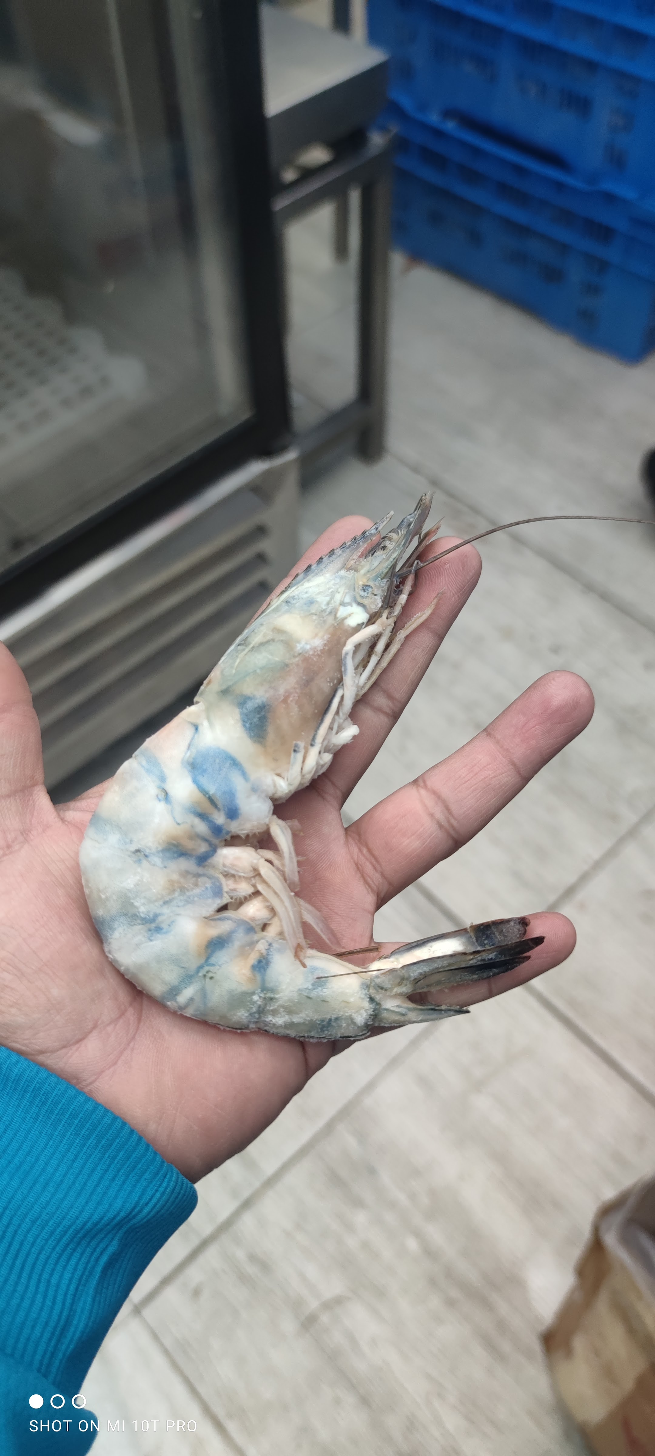 "Ganzo's". Pescado•Marisco•Pollo image 3