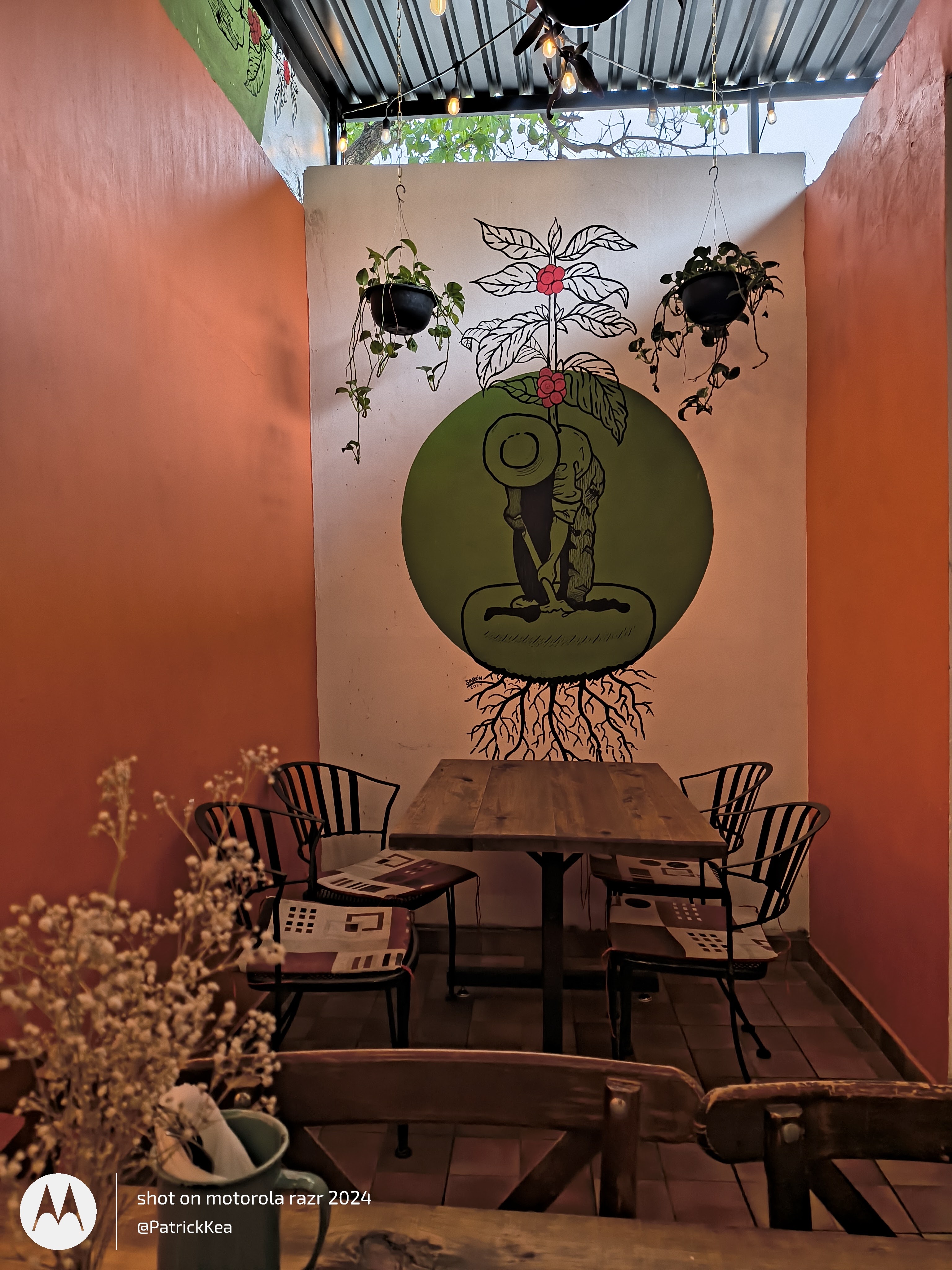 Pizzas Y Calzony Pauly image 3