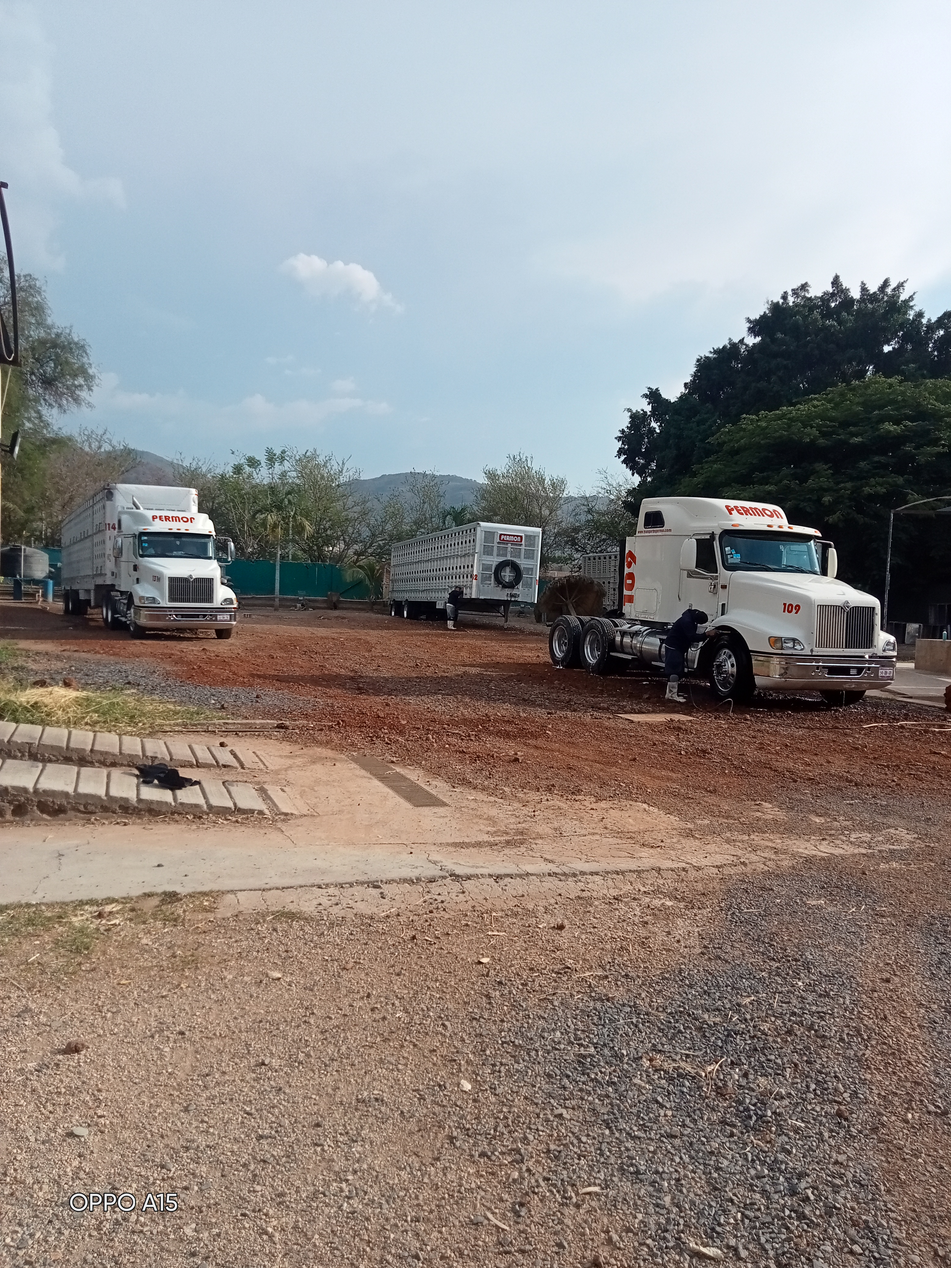 Loncheria El Toluco image 2