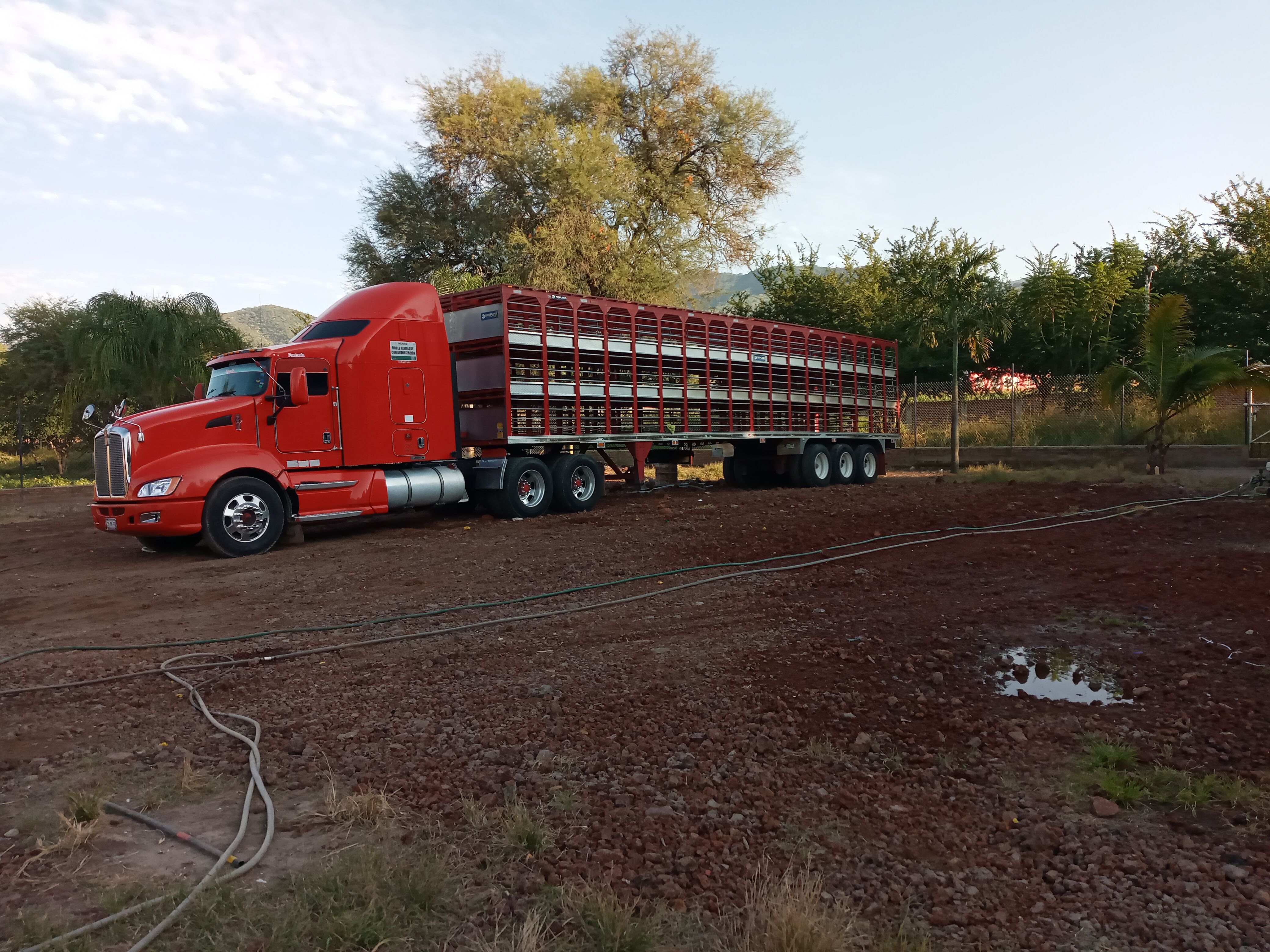 Loncheria El Toluco image 3