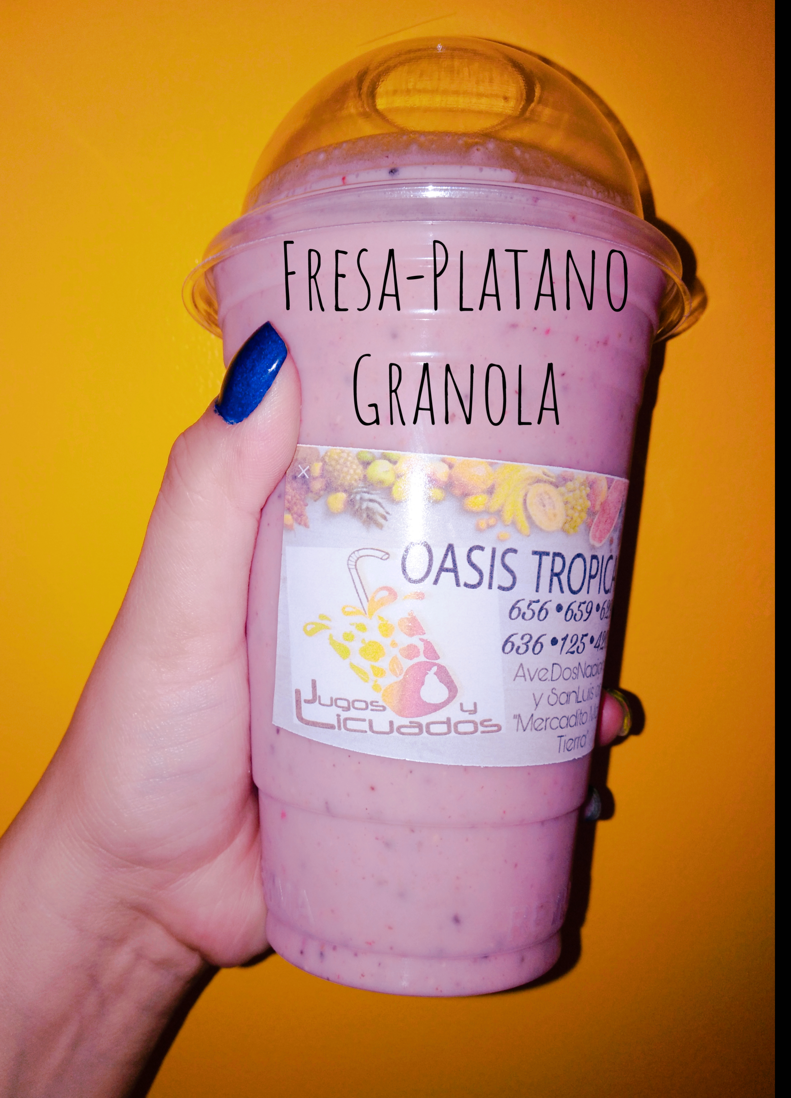 OASIS TROPICAL image 2