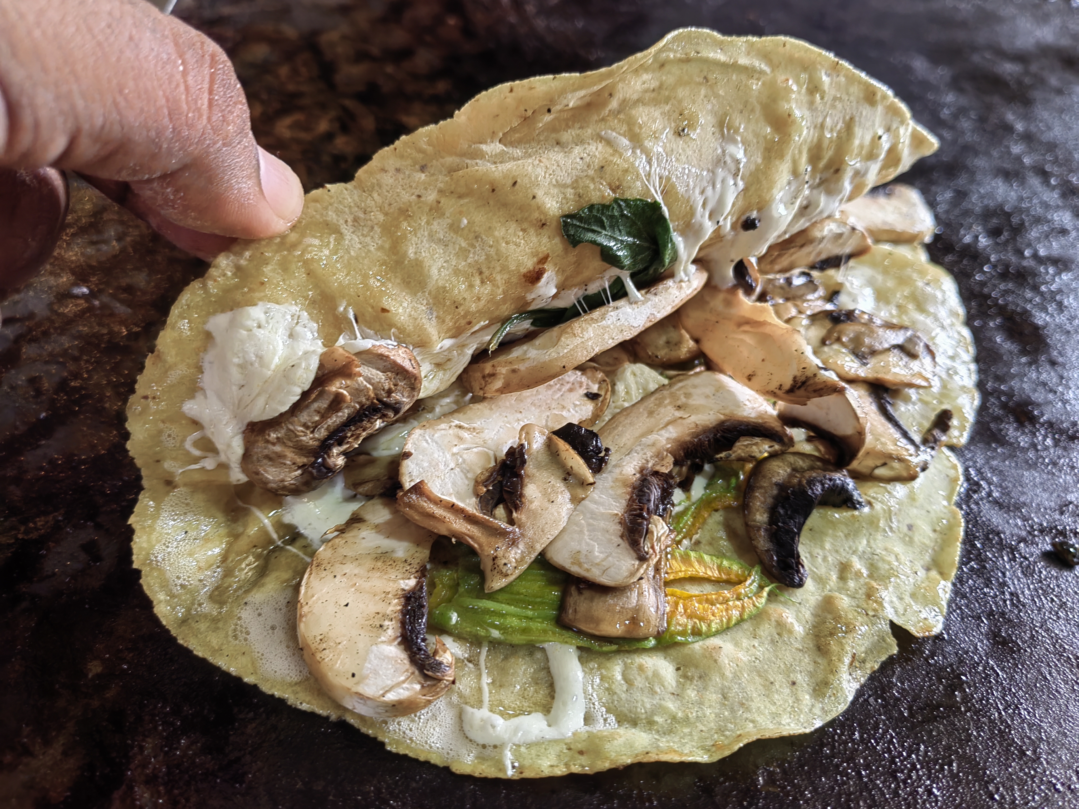 Alfa y Omega la comedera image 2