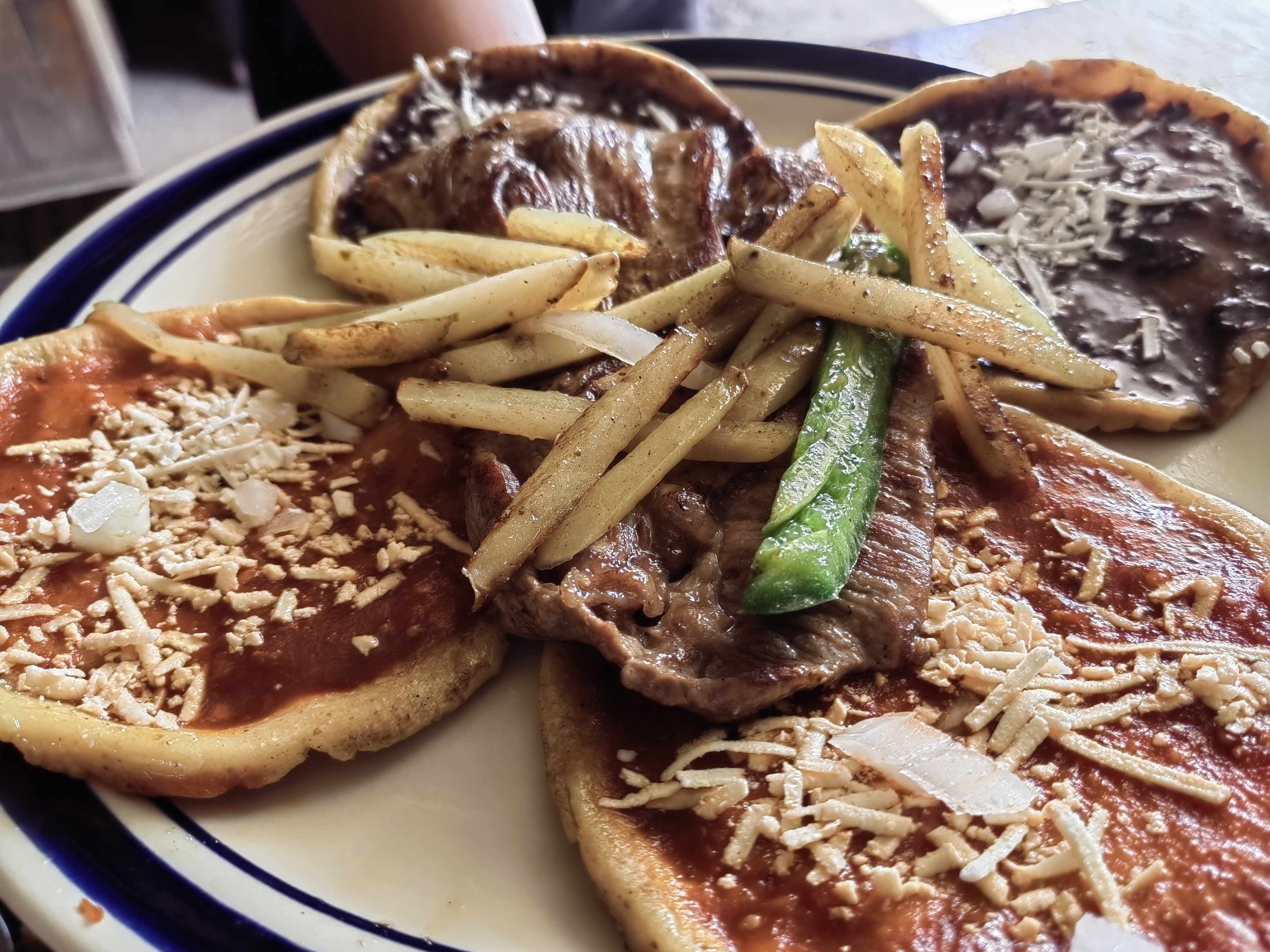 Alfa y Omega la comedera image 7