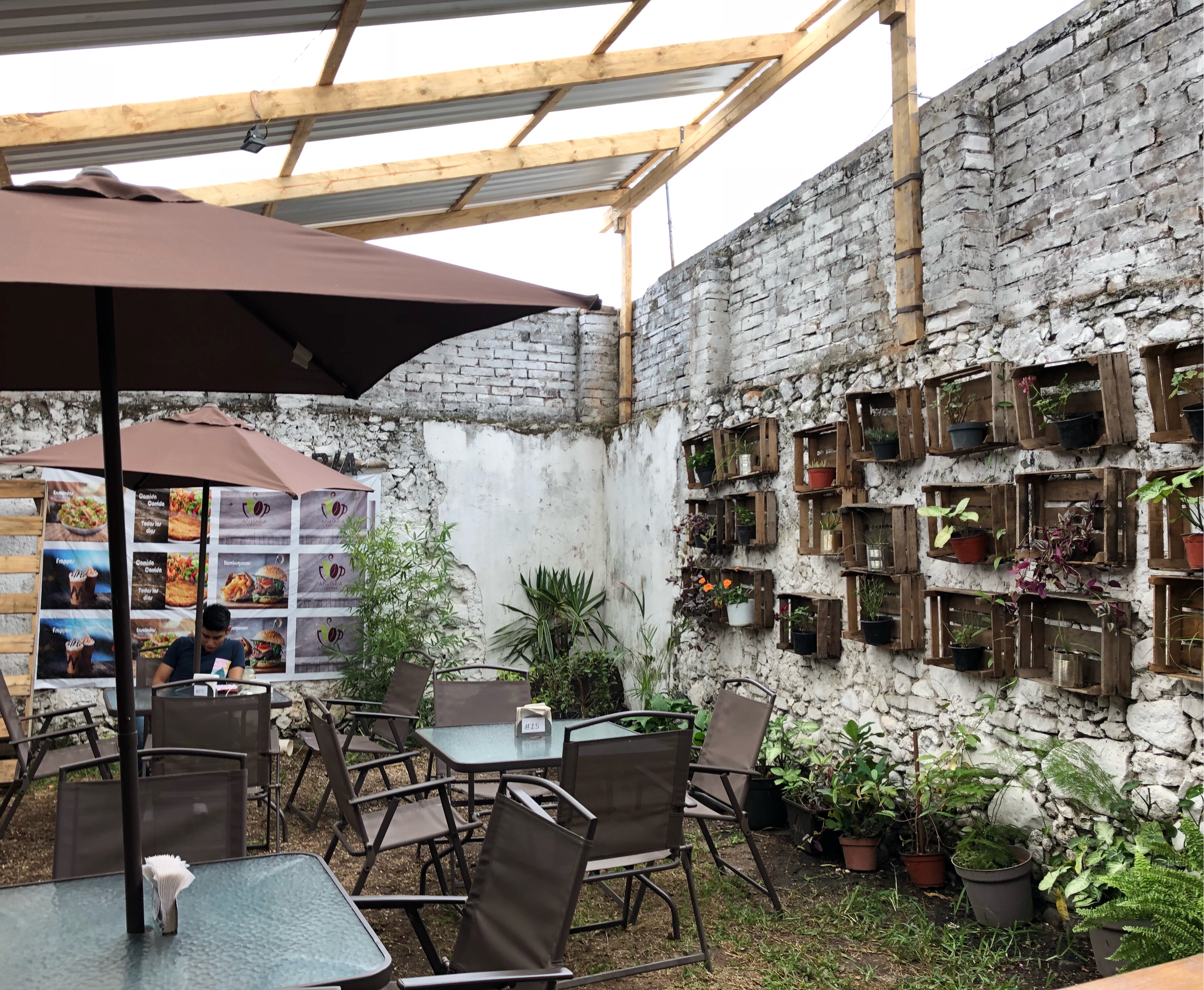 Alfa y Omega la comedera image 9