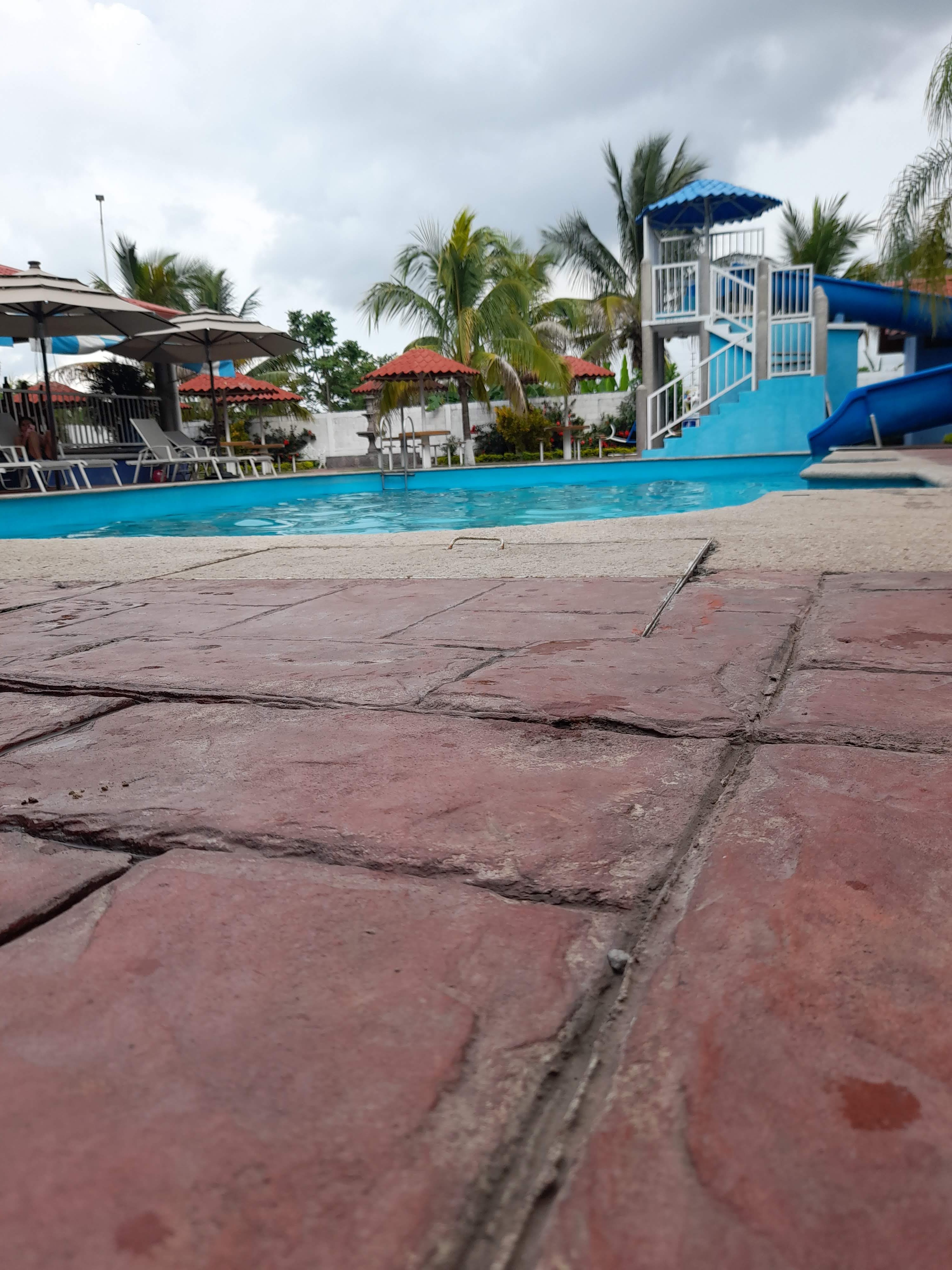 El pescadito image 2