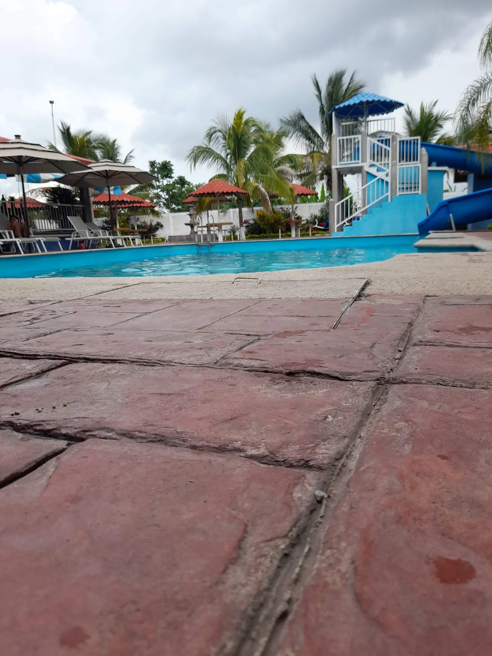 El pescadito image 2