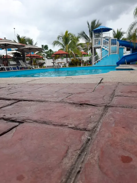 El pescadito image 2