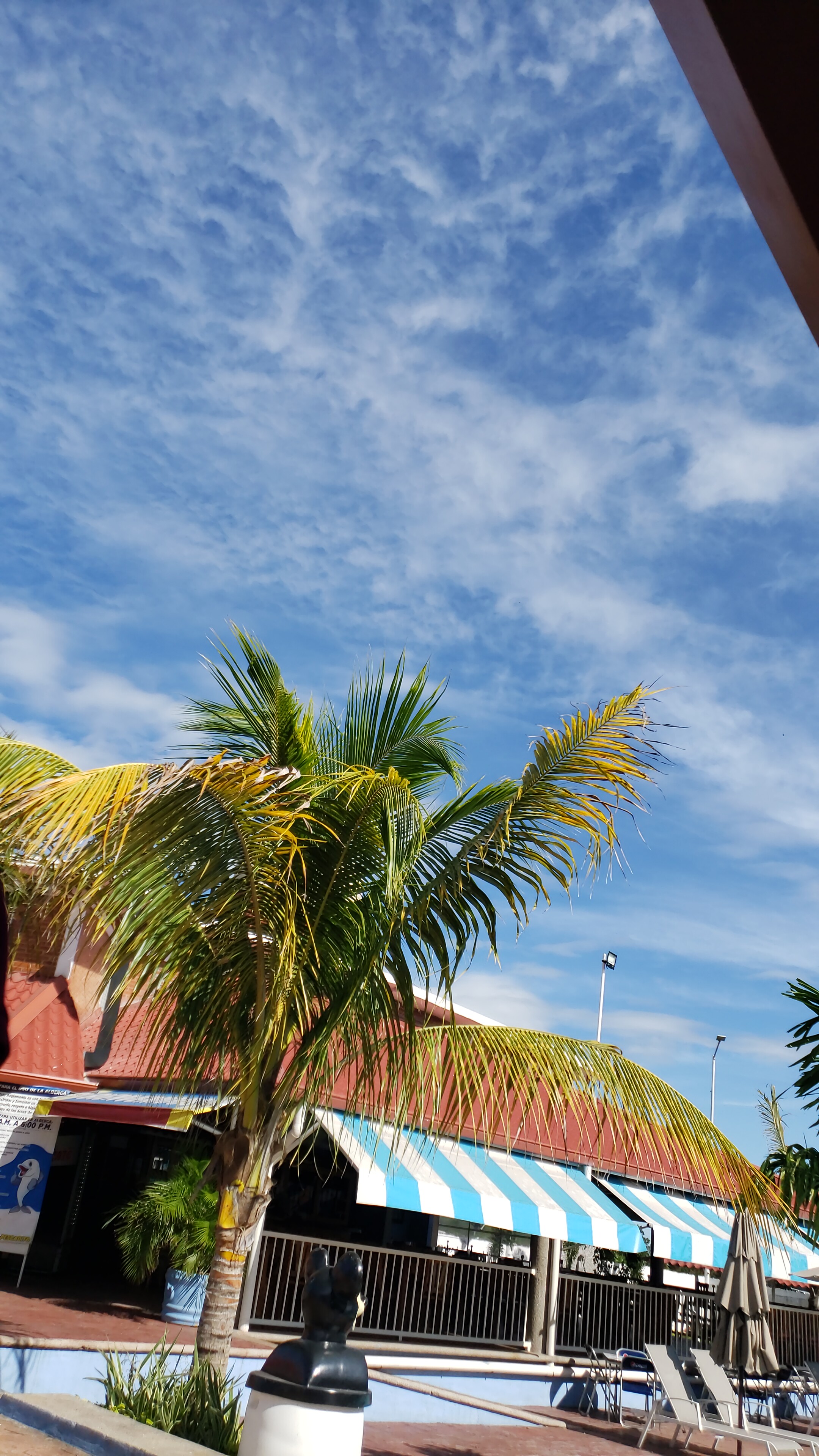 El pescadito image 4