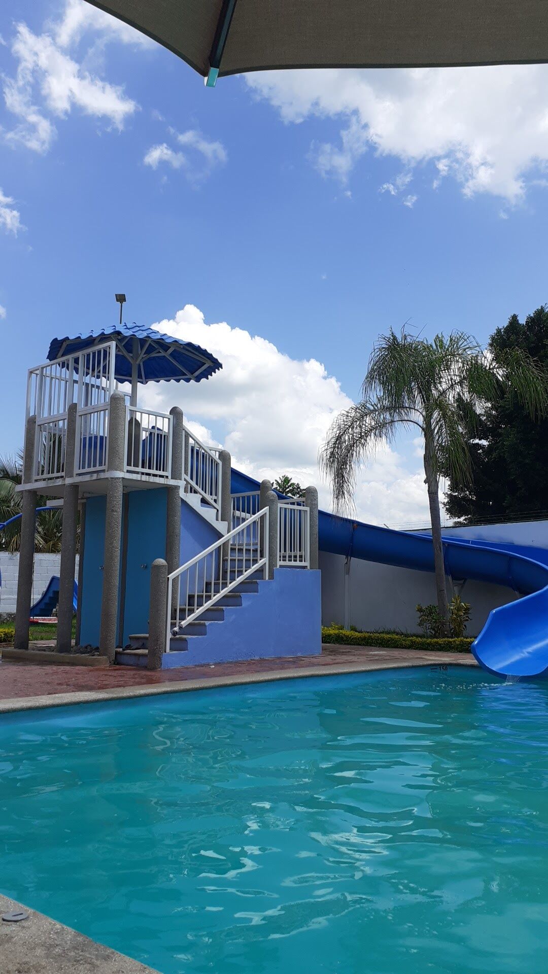 El pescadito image 8