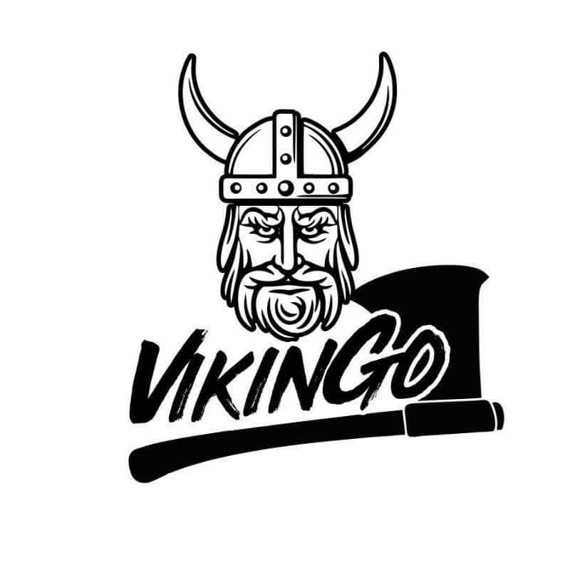 VikinGO image 6