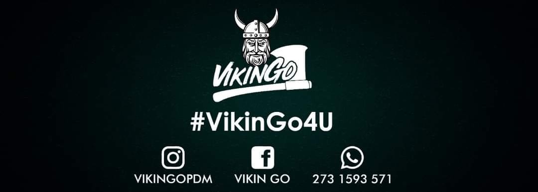 VikinGO image 8