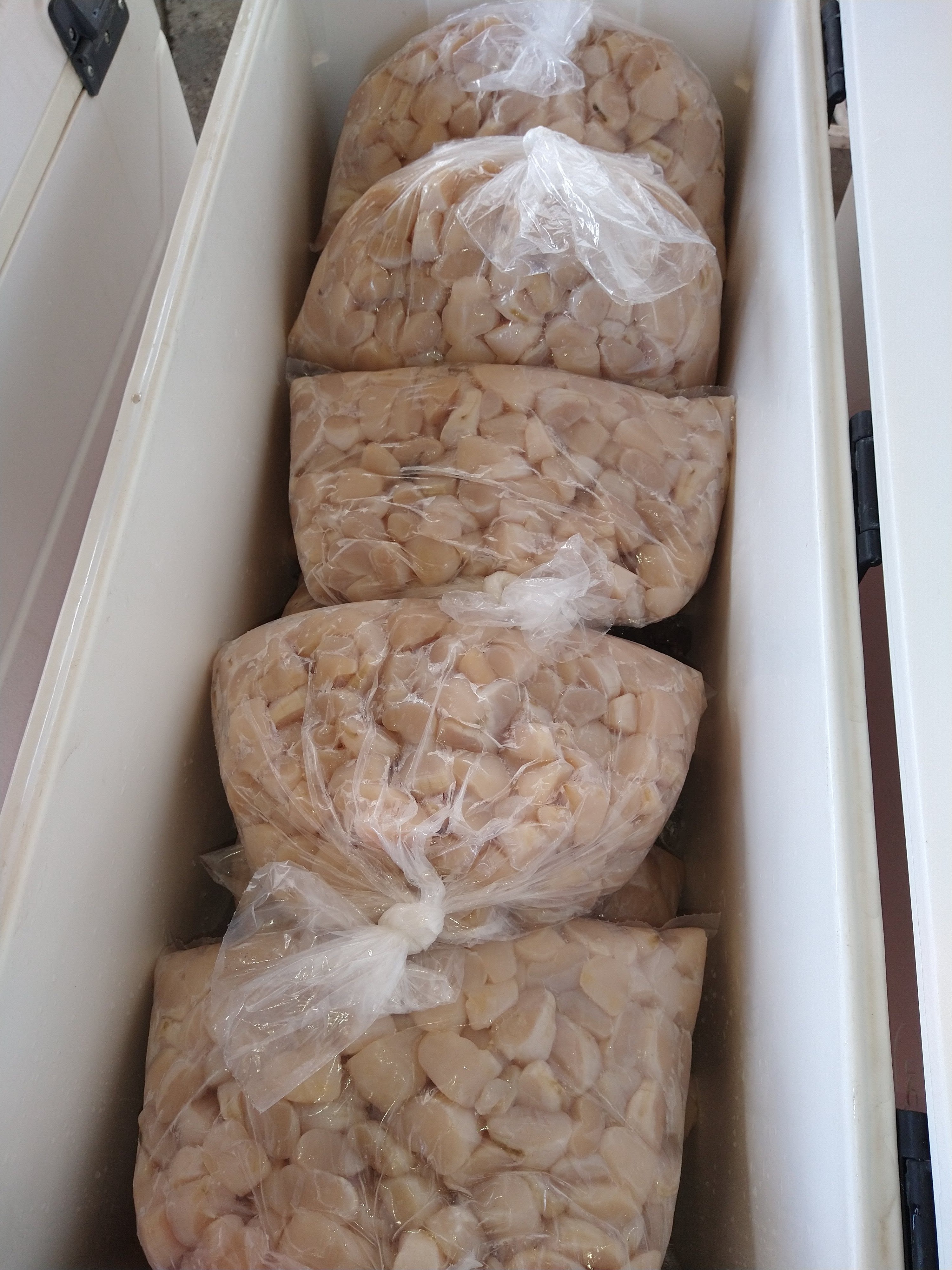 Camarón Seco X Kilo image 5