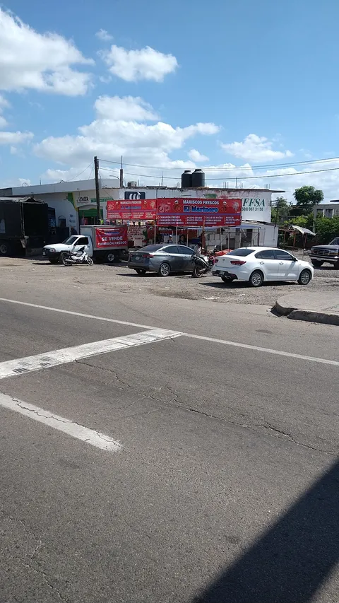 Camarón Seco X Kilo image 6
