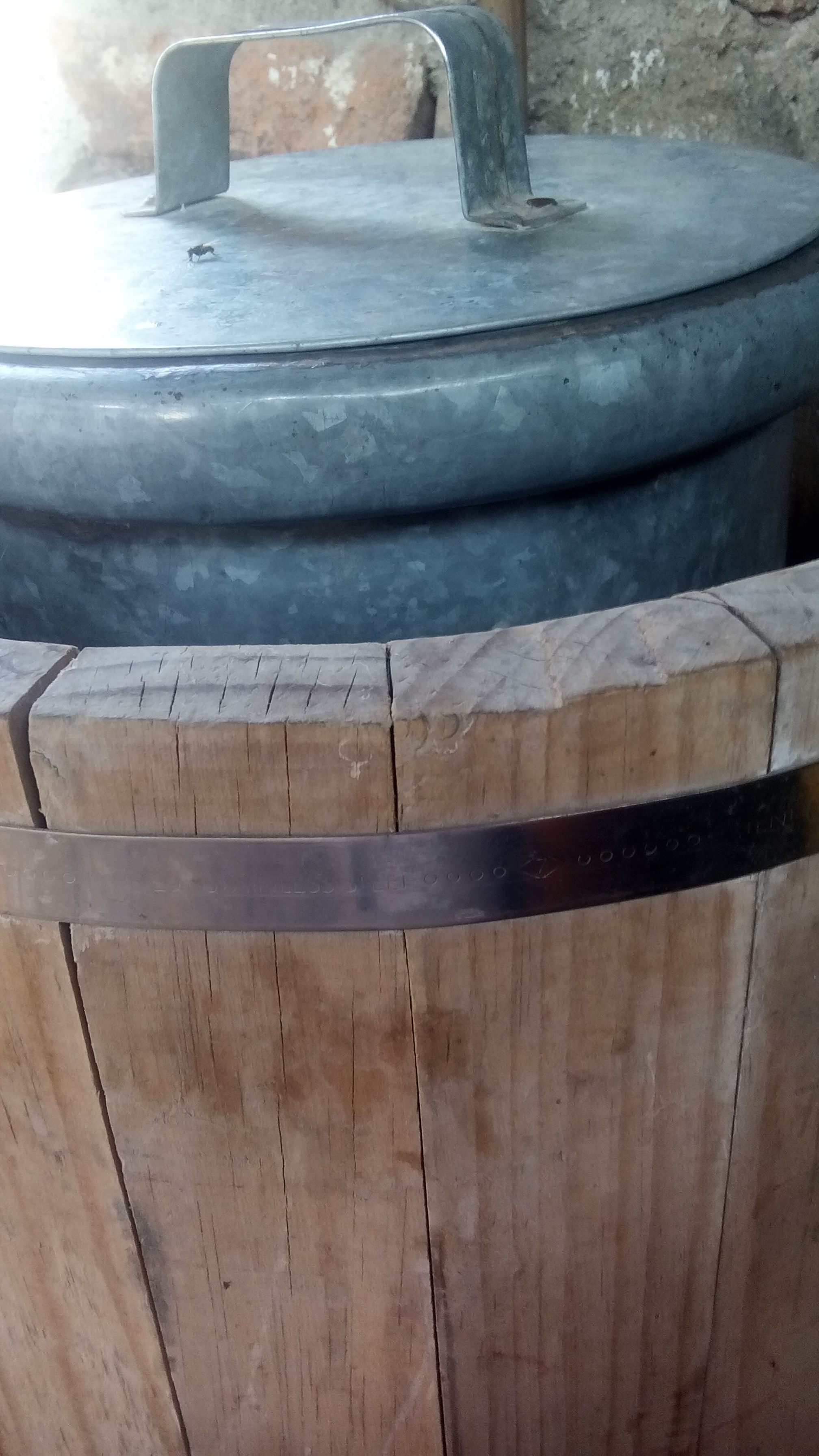 Venta De Nieve image 1