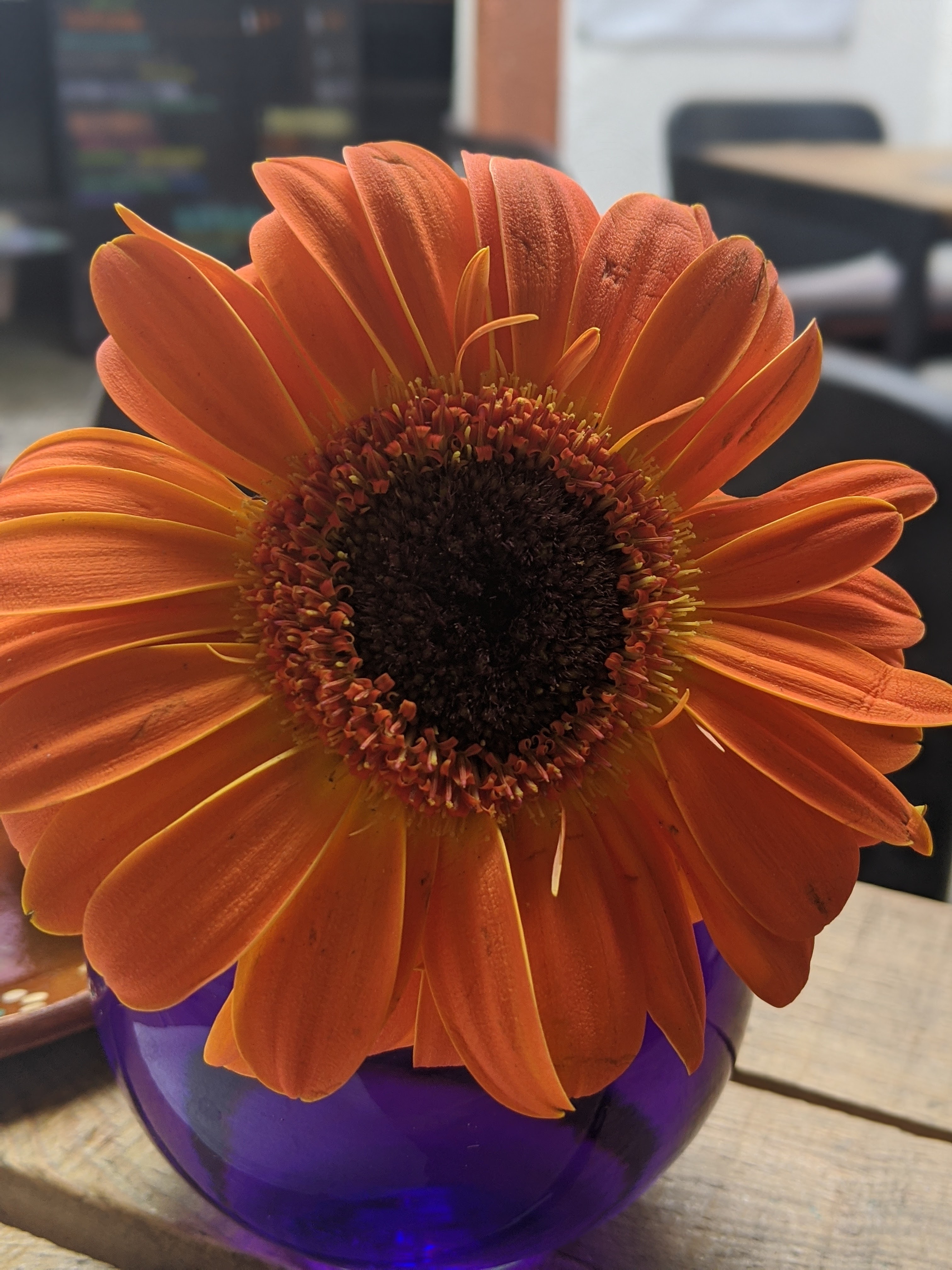 La Fábrica Pizzas image 8