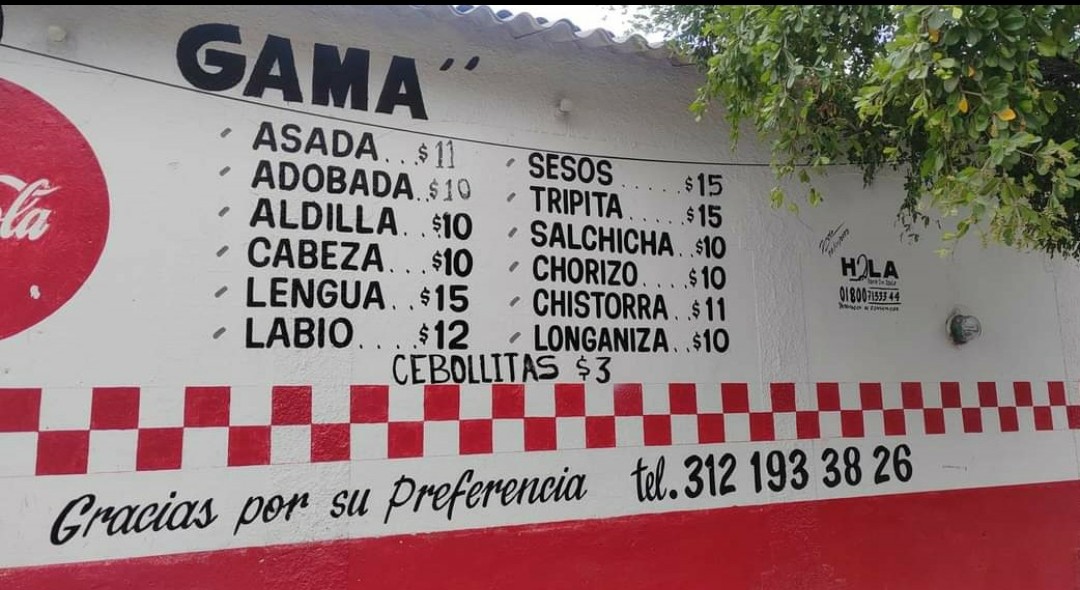 Taqueria el güero Gama image 9