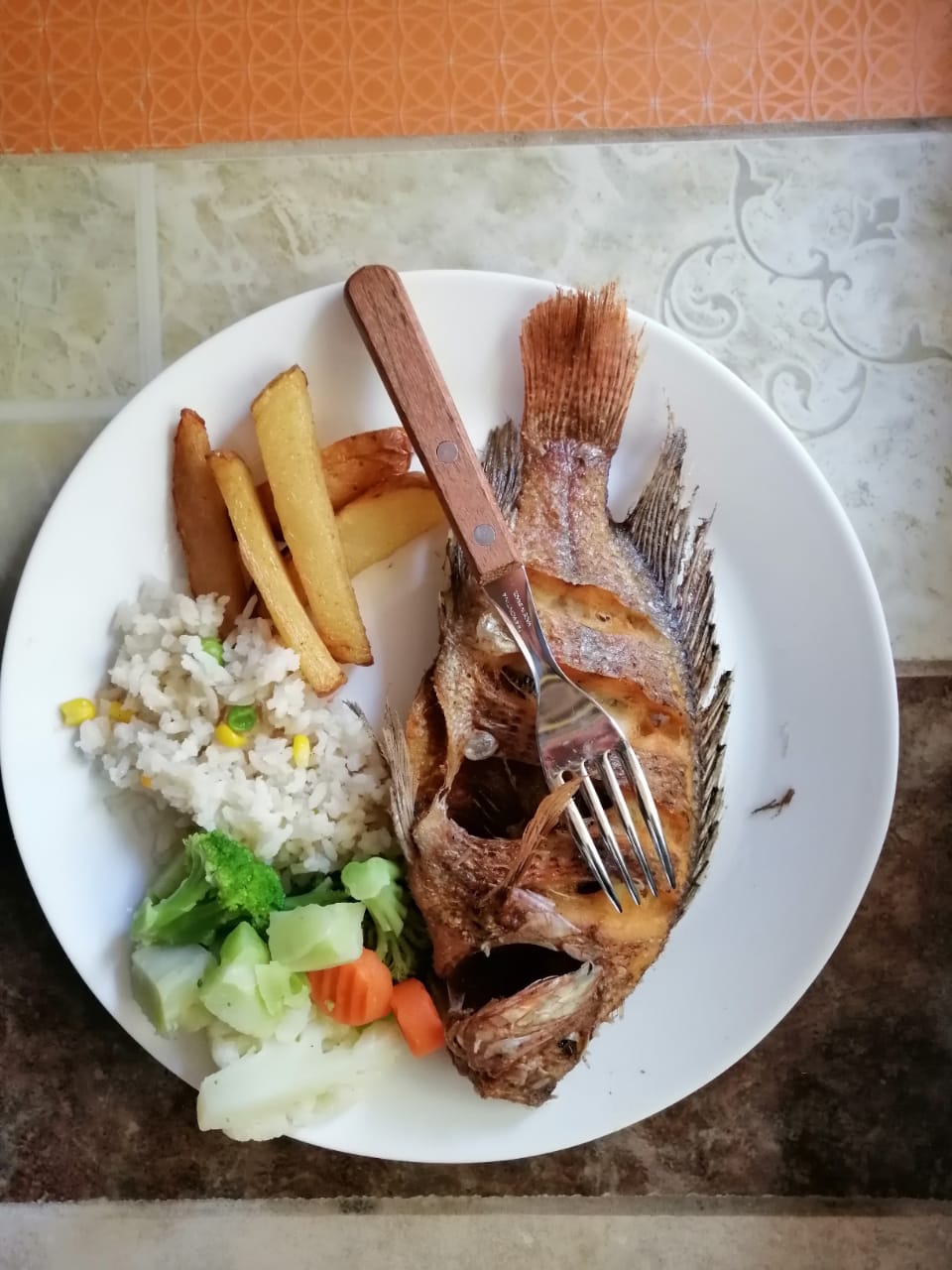 TIBURON GRIS image 1