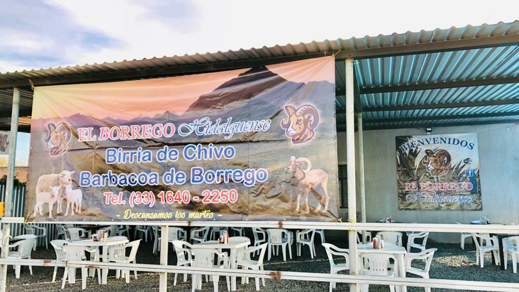El Borrego Hidalguense image 3