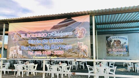 El Borrego Hidalguense image 3