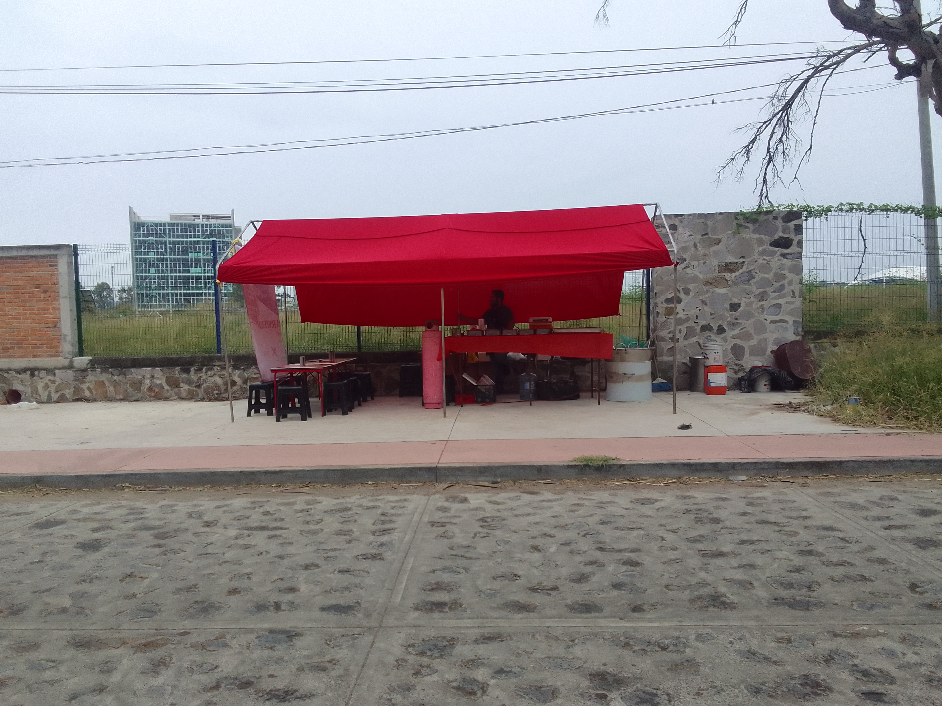 Carnitas “Dominguez” image 4