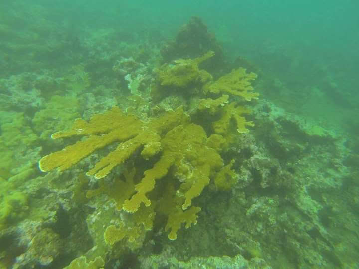 Cabaña "Reyna" image 8