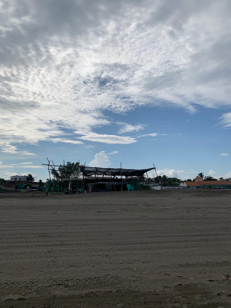 Enramada tiburon image 2