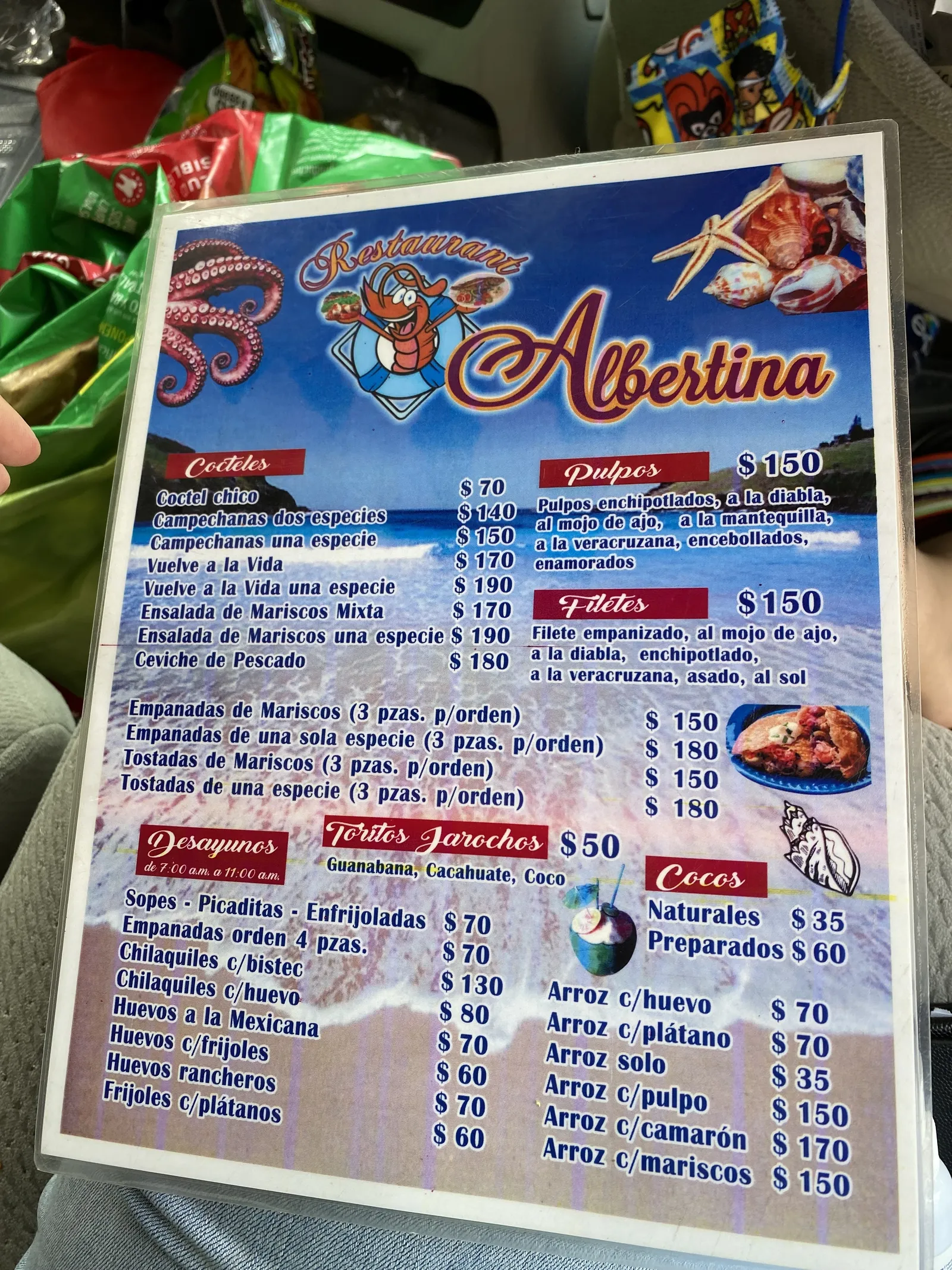 Albertina image 10